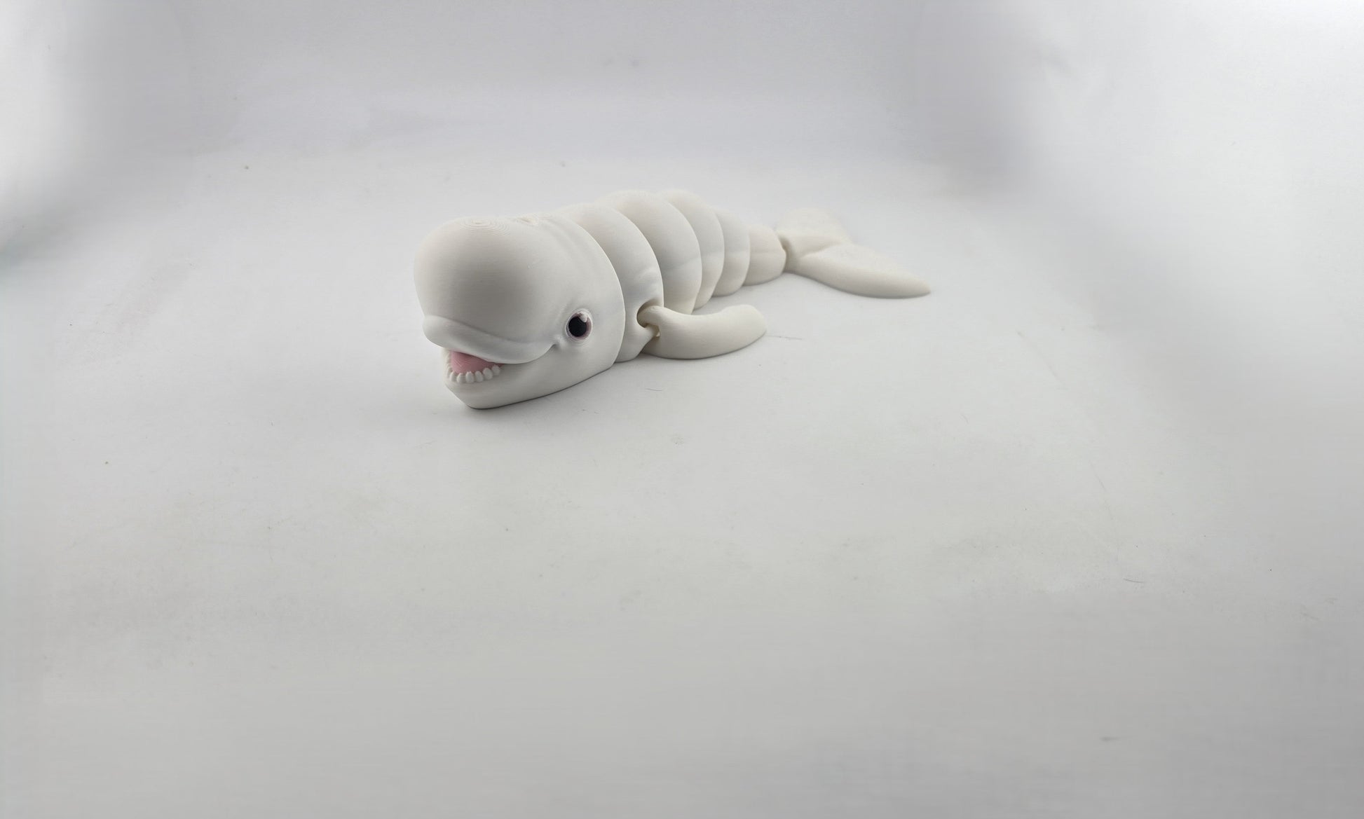 Beluga Whale - No Hands 3d