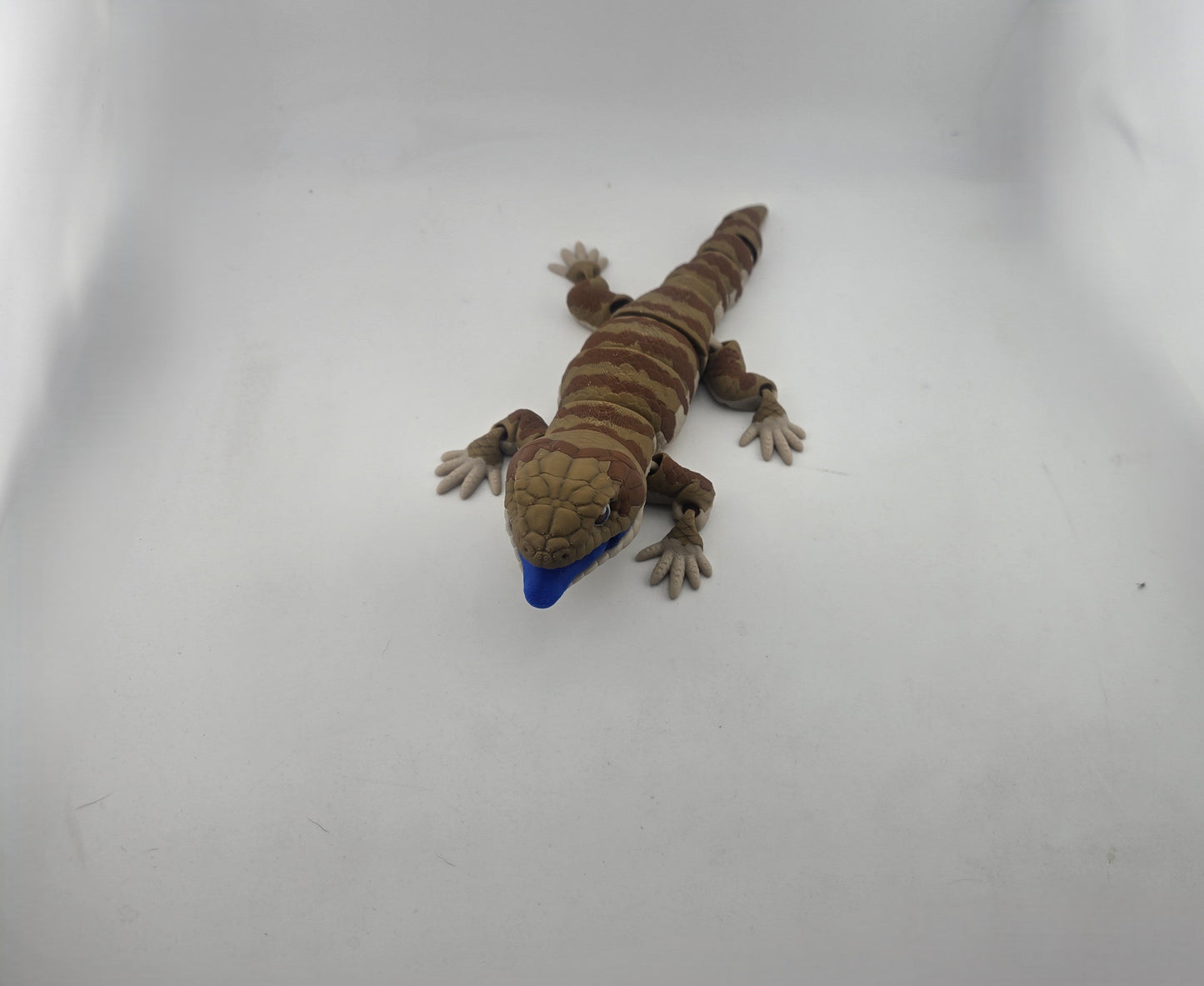 Blue Tongue Lizard - No Hands 3d