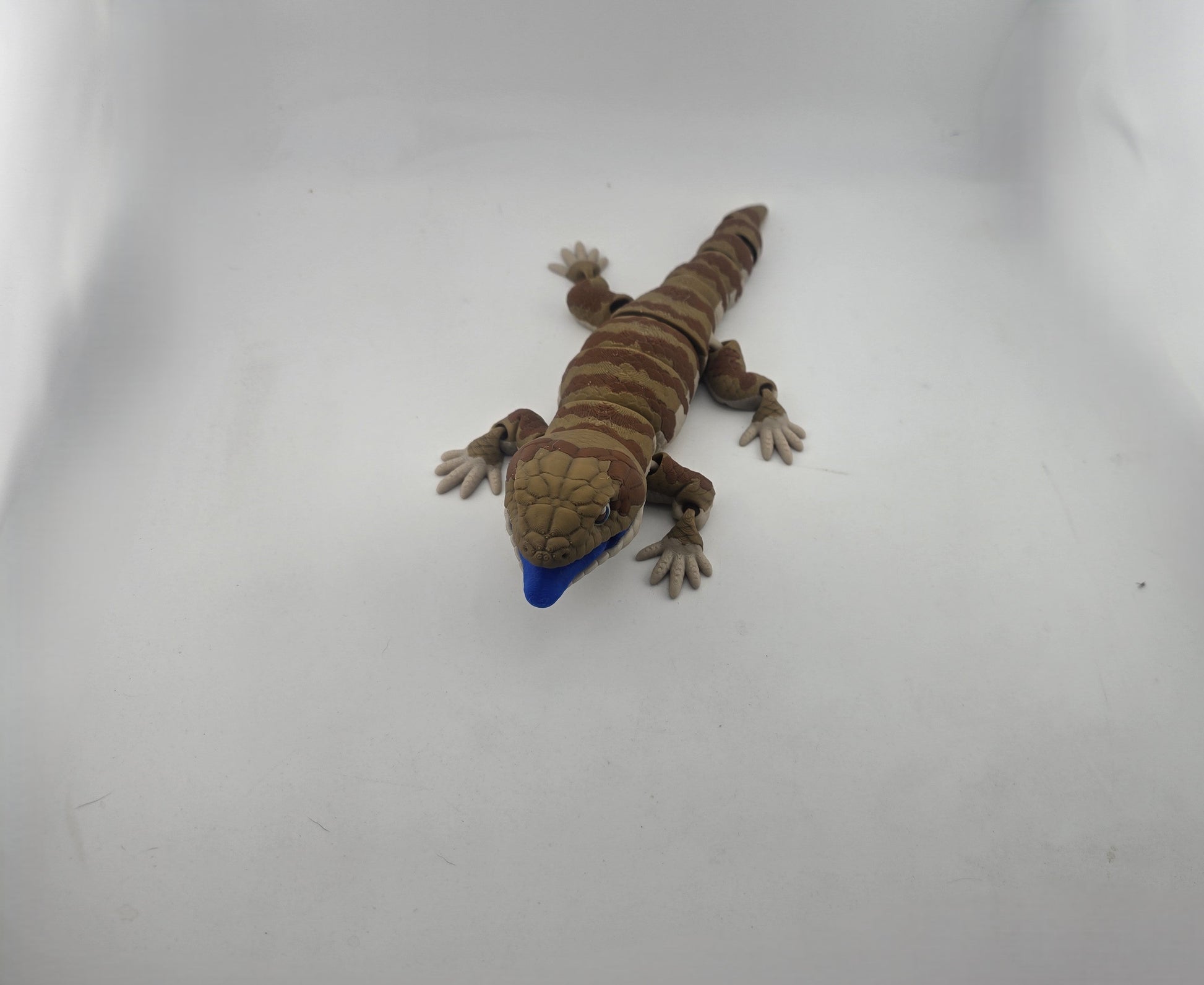 Blue Tongue Lizard - No Hands 3d