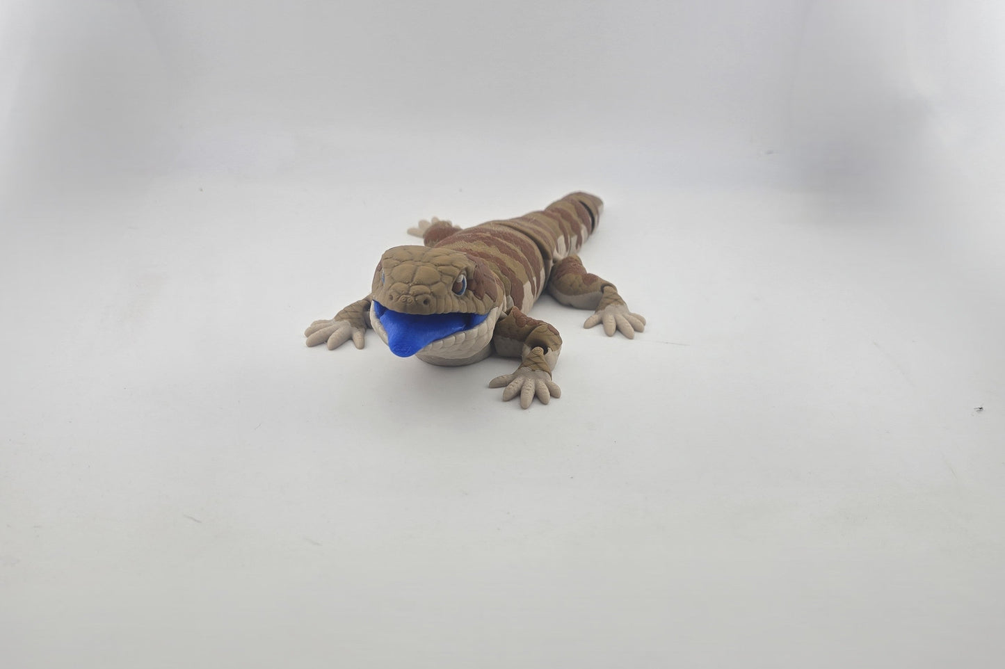 Blue Tongue Lizard - No Hands 3d
