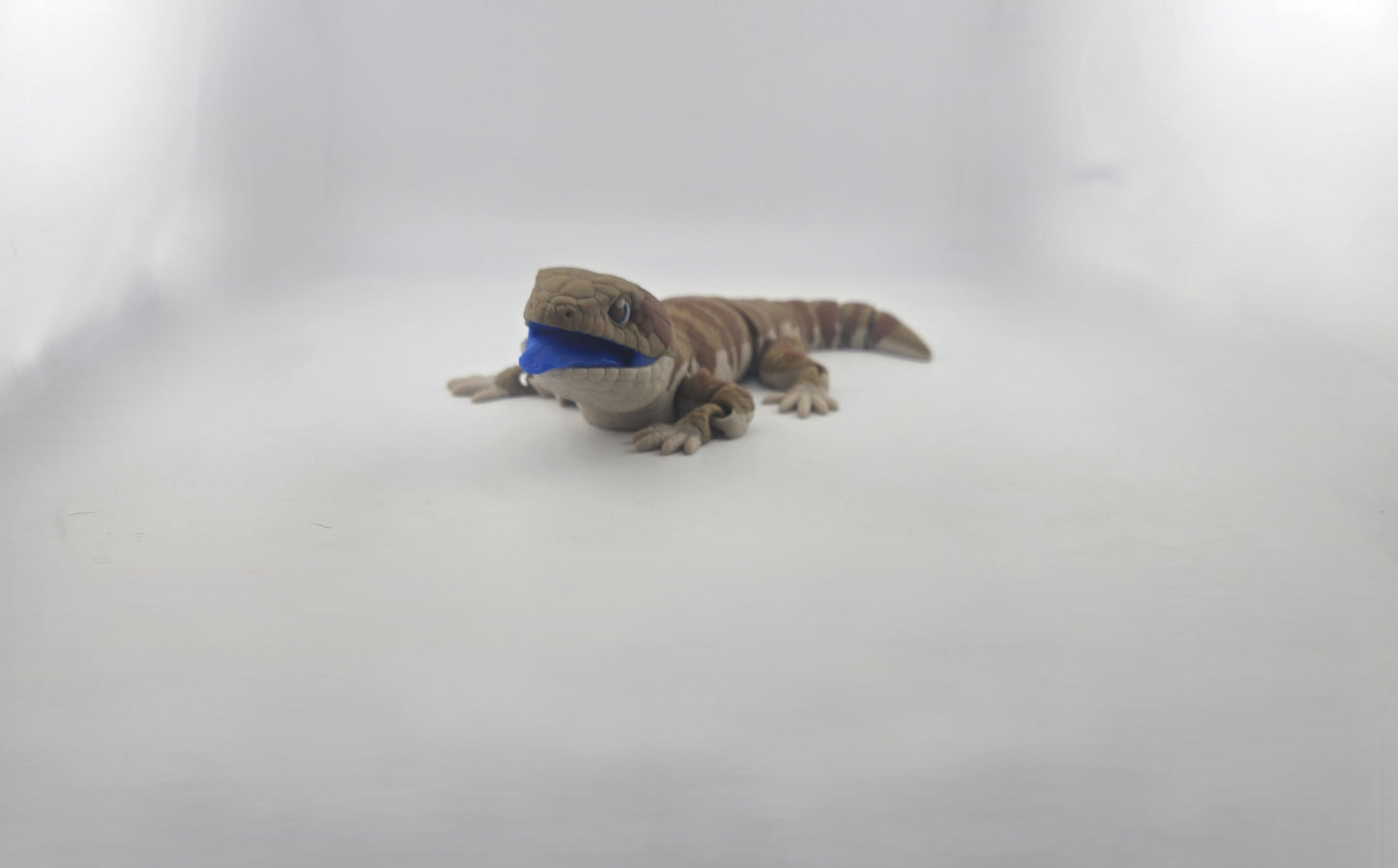 Blue Tongue Lizard - No Hands 3d