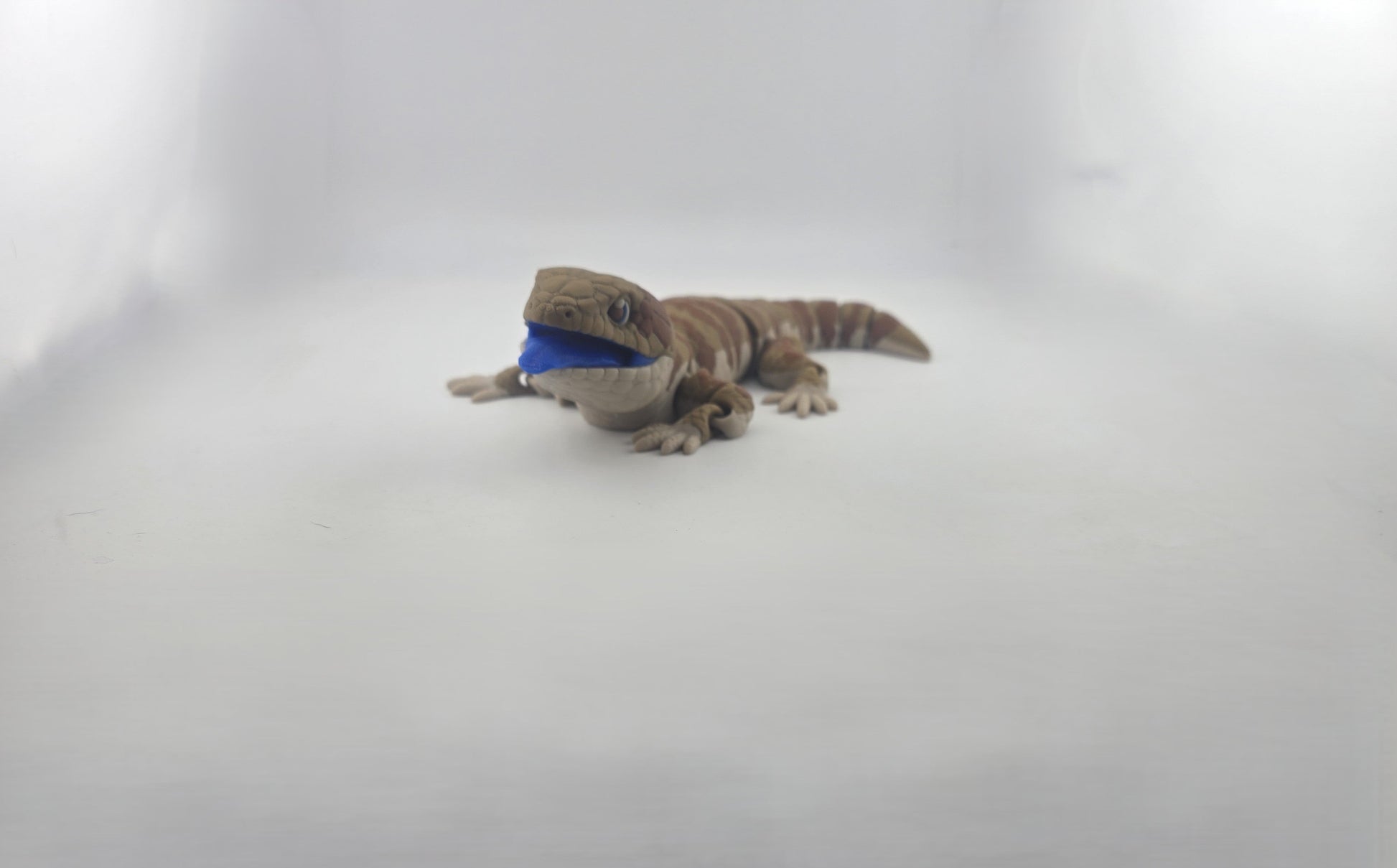 Blue Tongue Lizard - No Hands 3d