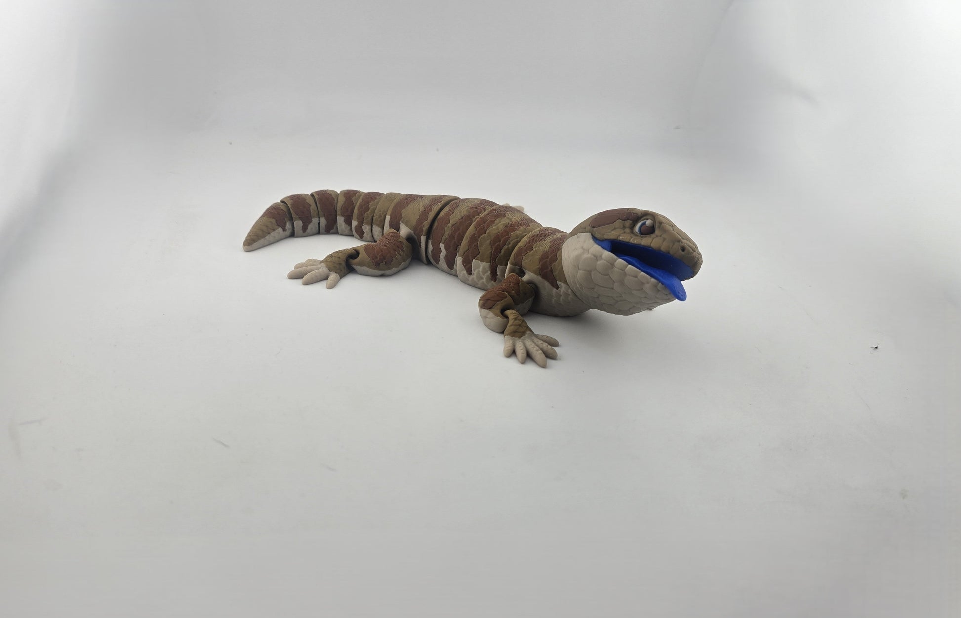 Blue Tongue Lizard - No Hands 3d