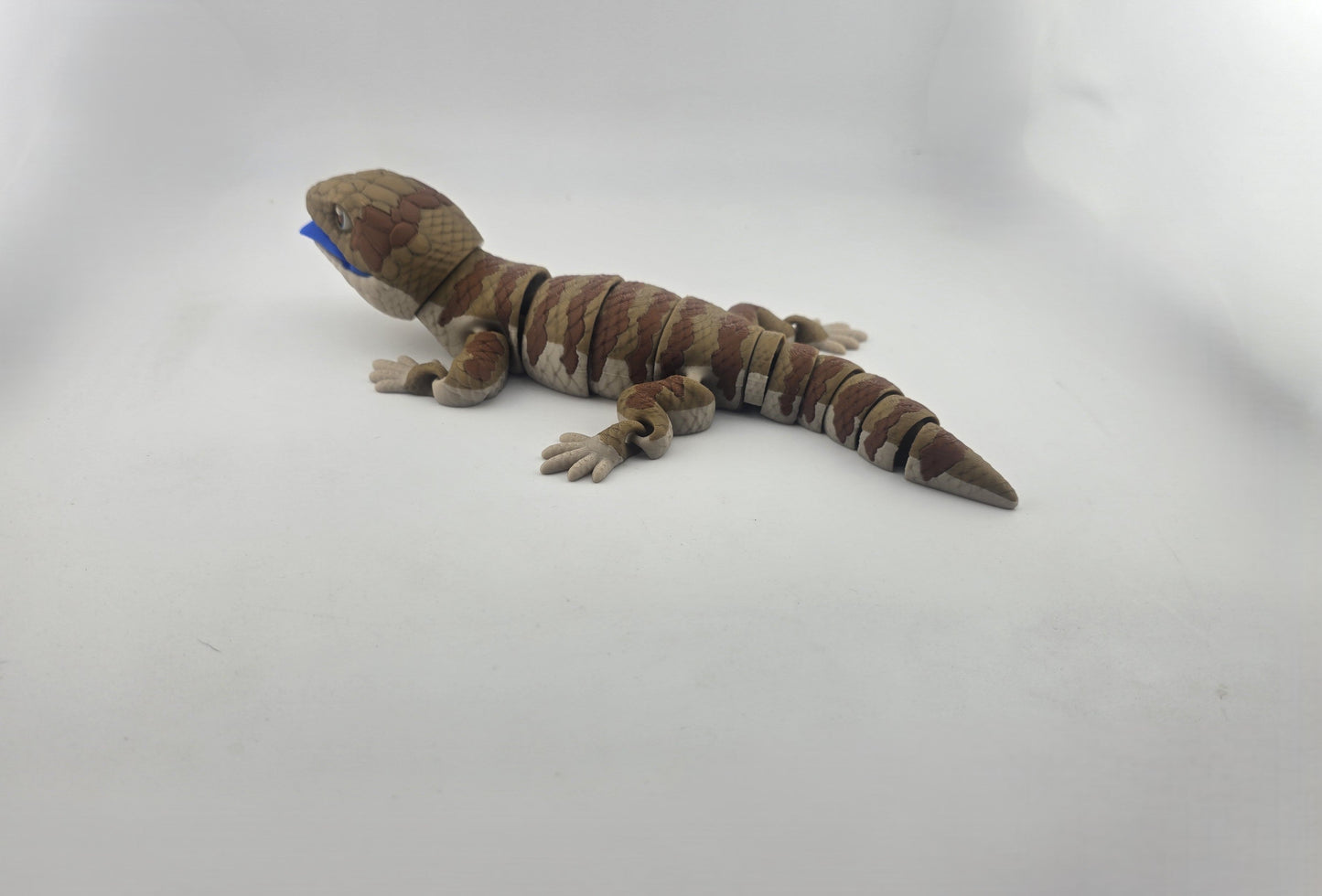 Blue Tongue Lizard - No Hands 3d