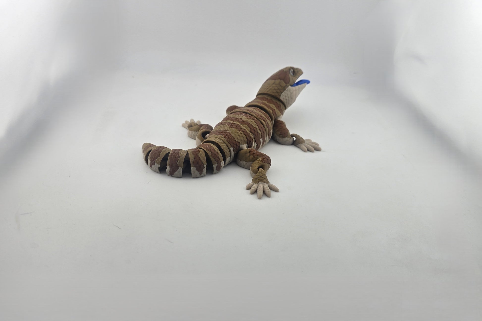 Blue Tongue Lizard - No Hands 3d