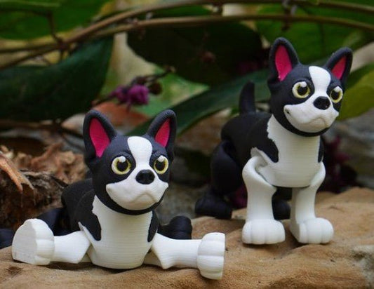 Boston Terrier - No Hands 3d