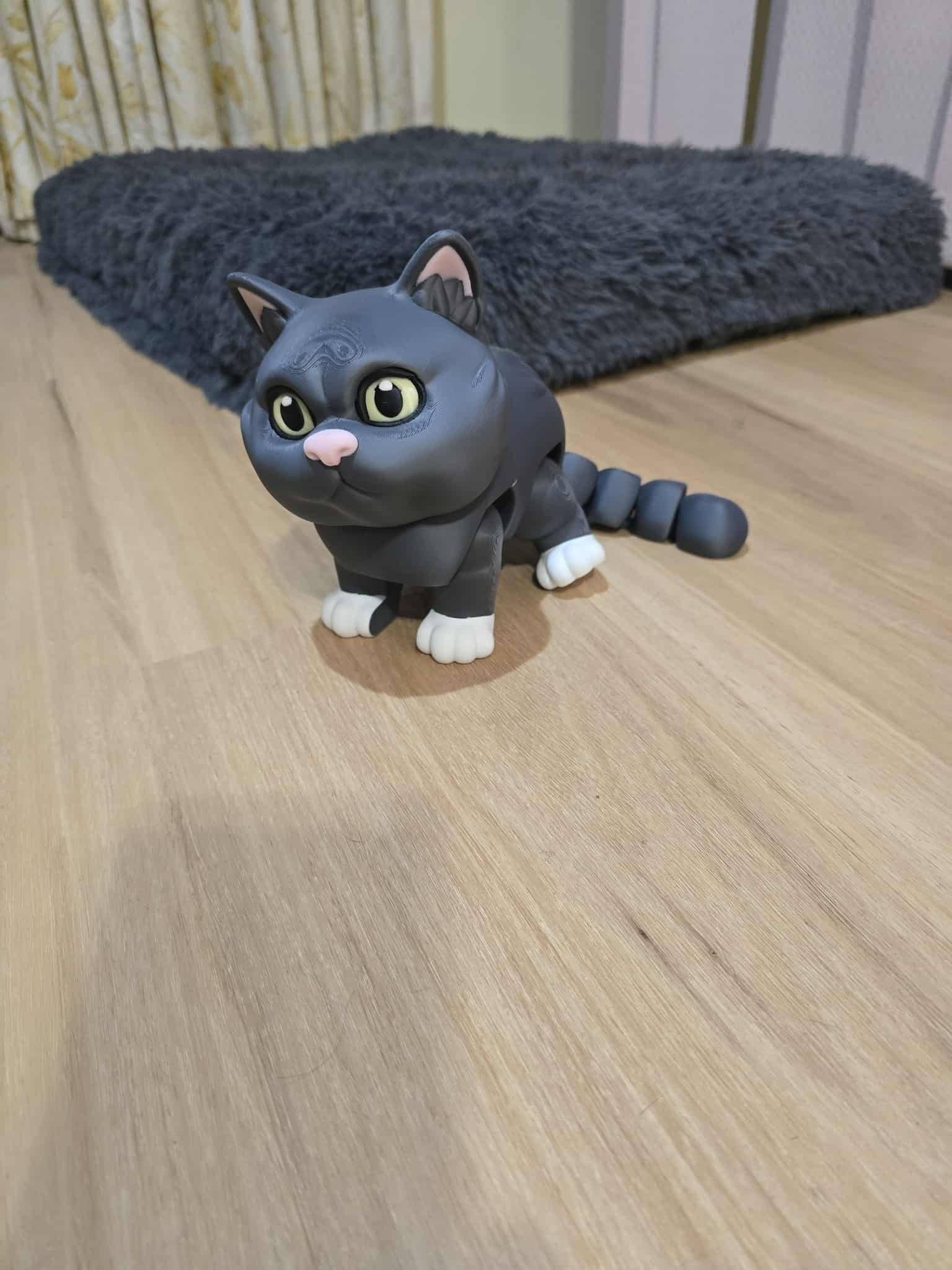 British Shorthaired Cat - No Hands 3d