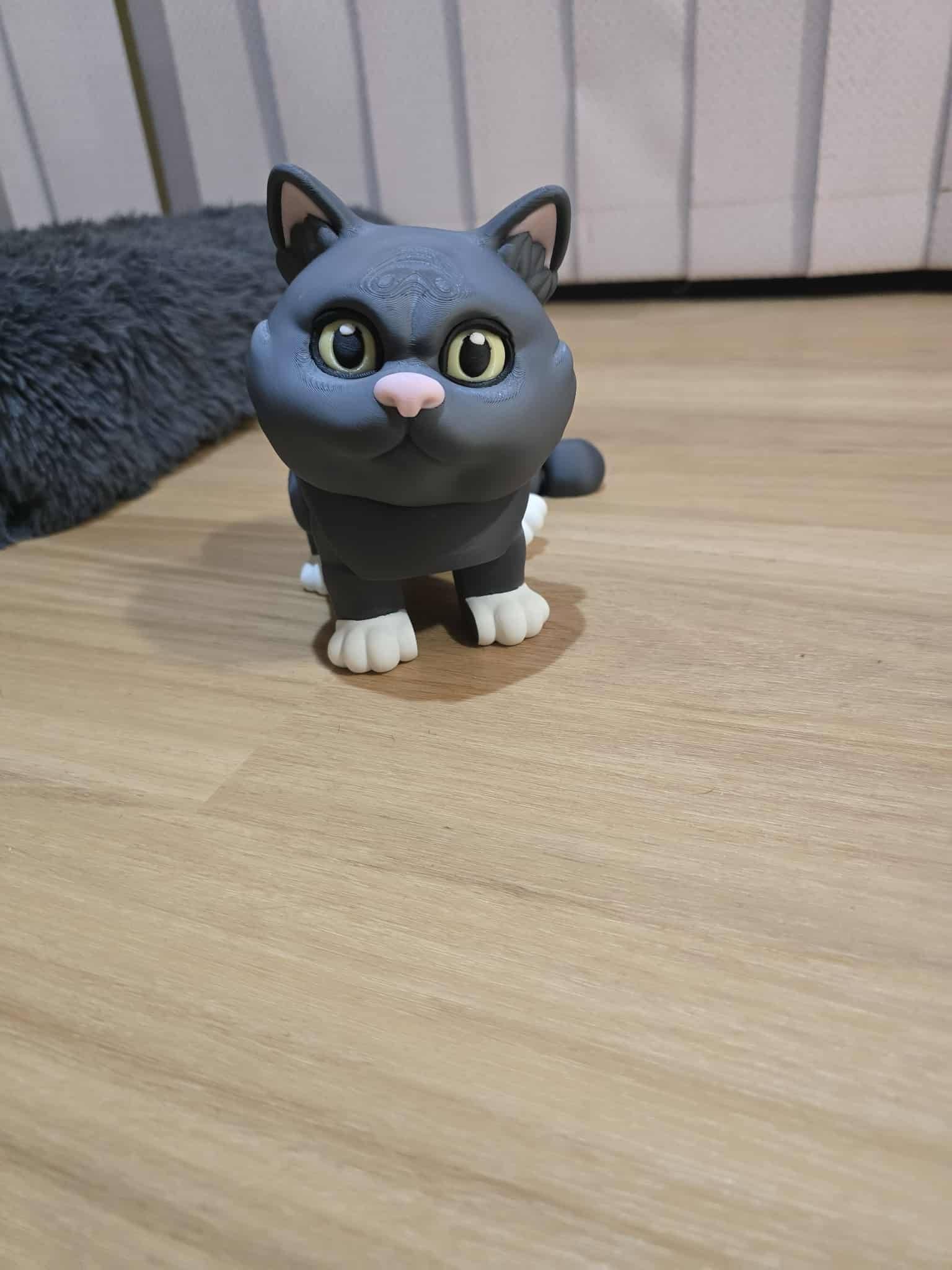 British Shorthaired Cat - No Hands 3d