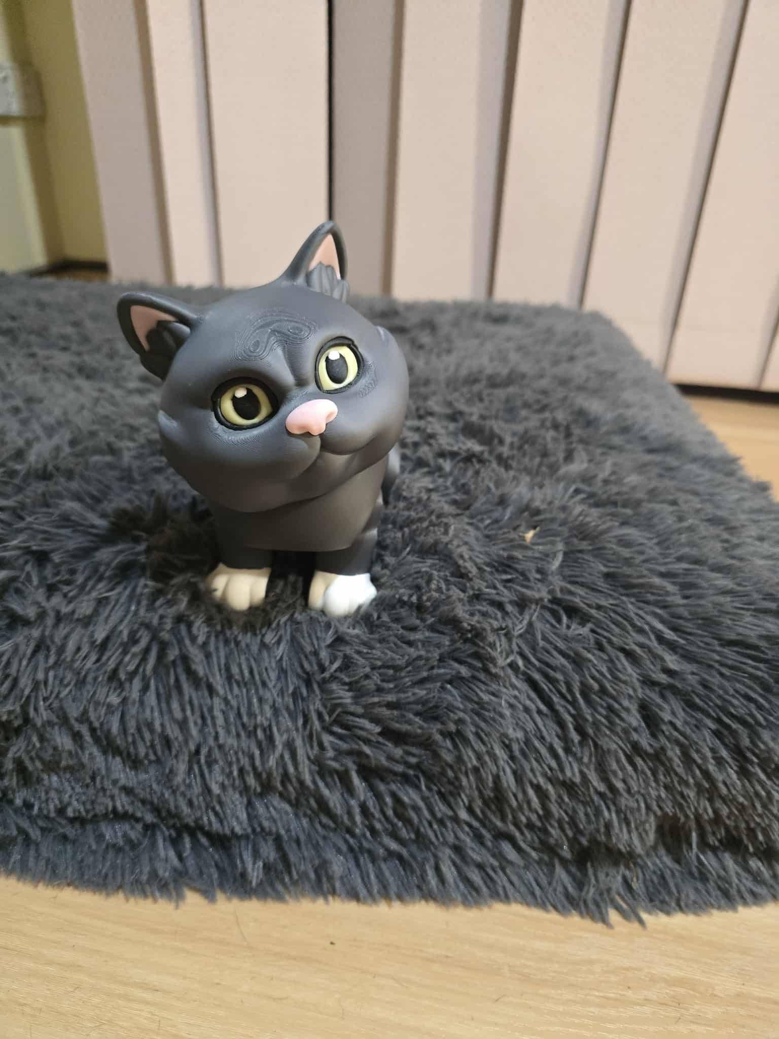 British Shorthaired Cat - No Hands 3d