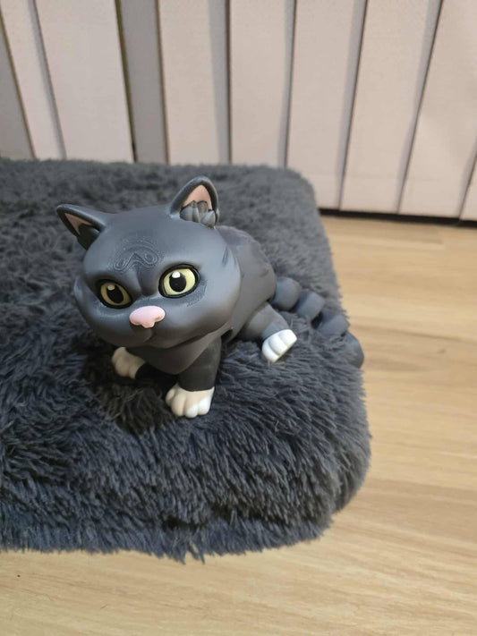 British Shorthaired Cat - No Hands 3d