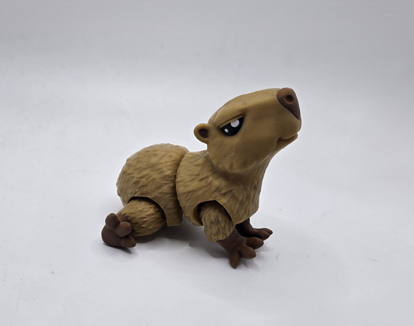Cassie the Capybara - No Hands 3d