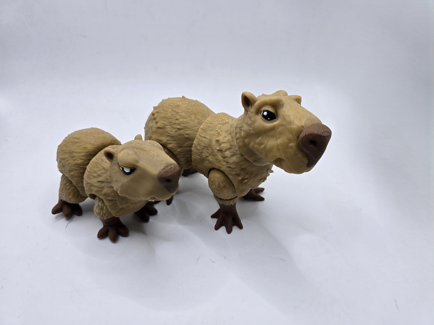 Cassie the Capybara - No Hands 3d