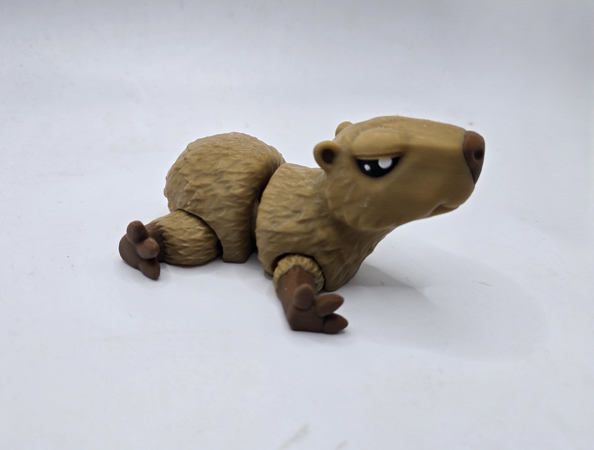 Cassie the Capybara - No Hands 3d