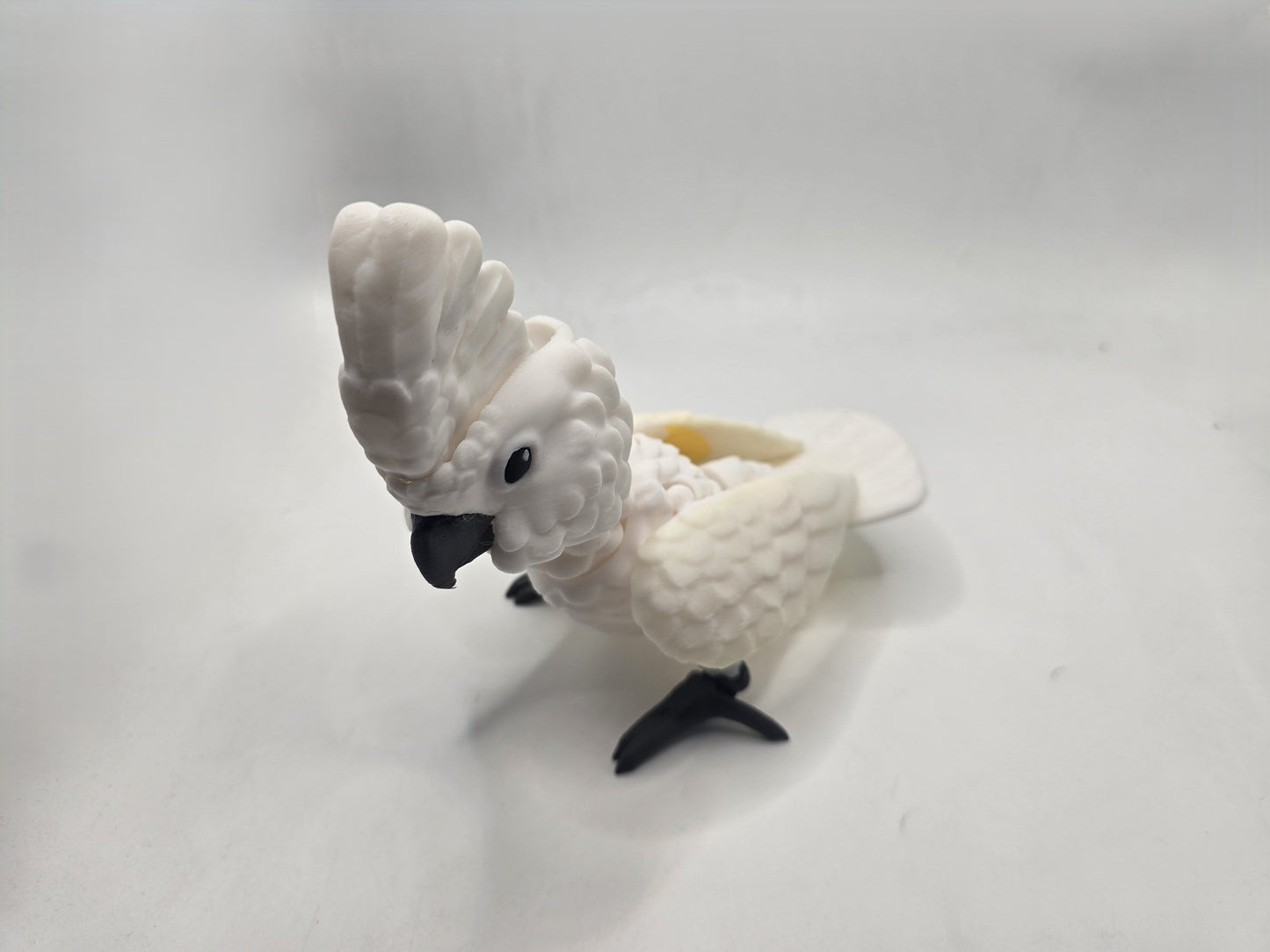 Cockatoo - No Hands 3d