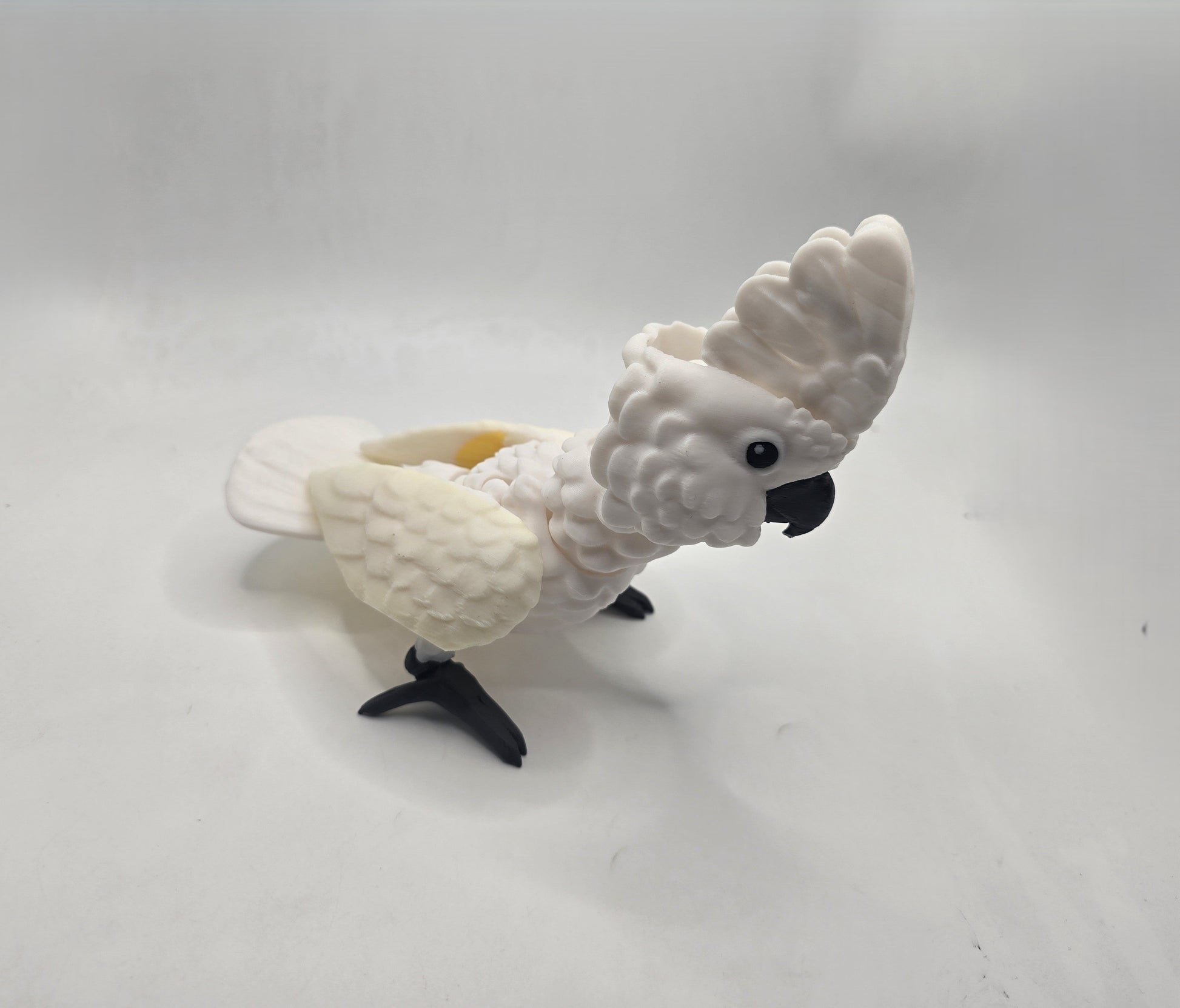 Cockatoo - No Hands 3d