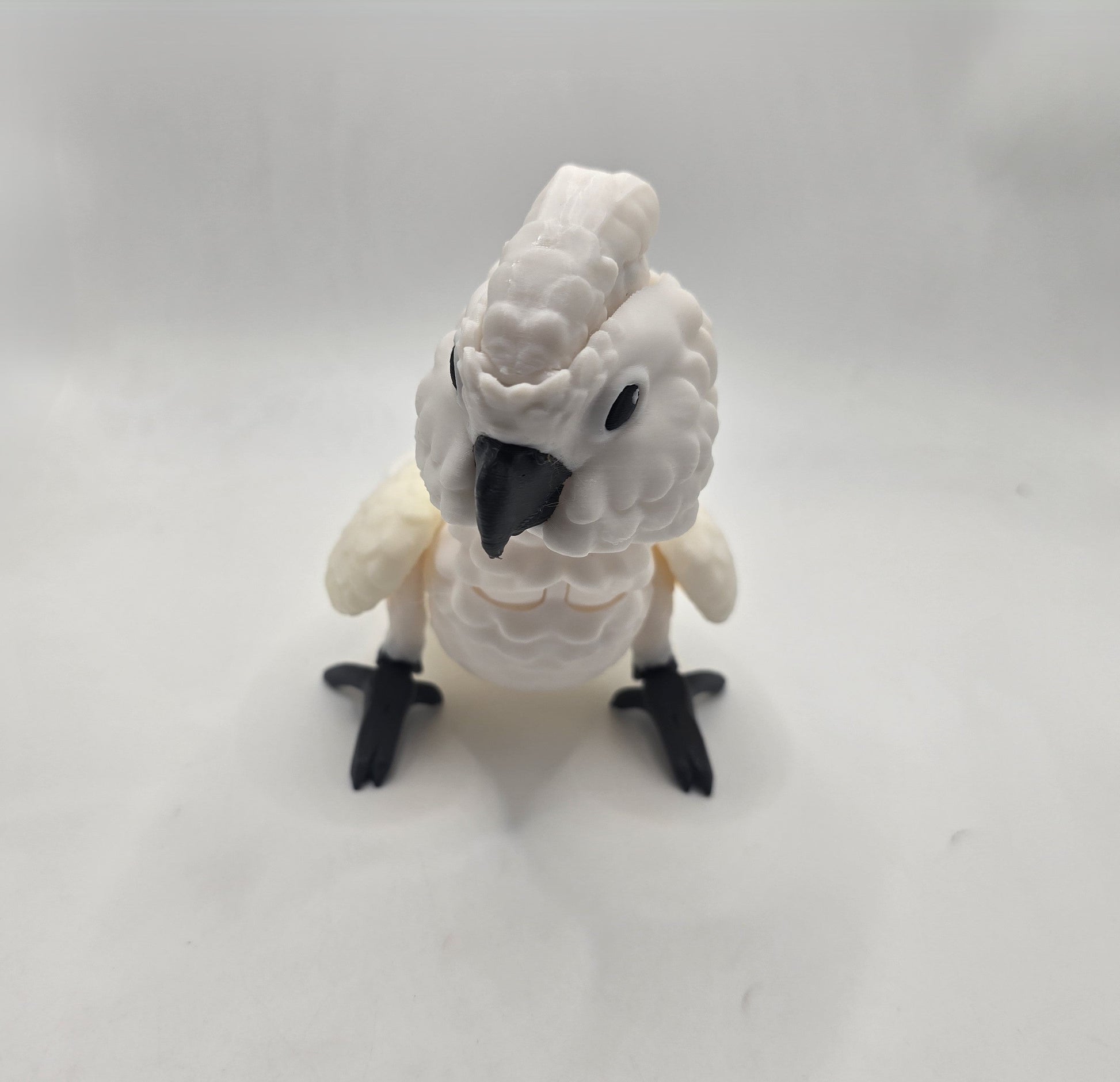 Cockatoo - No Hands 3d