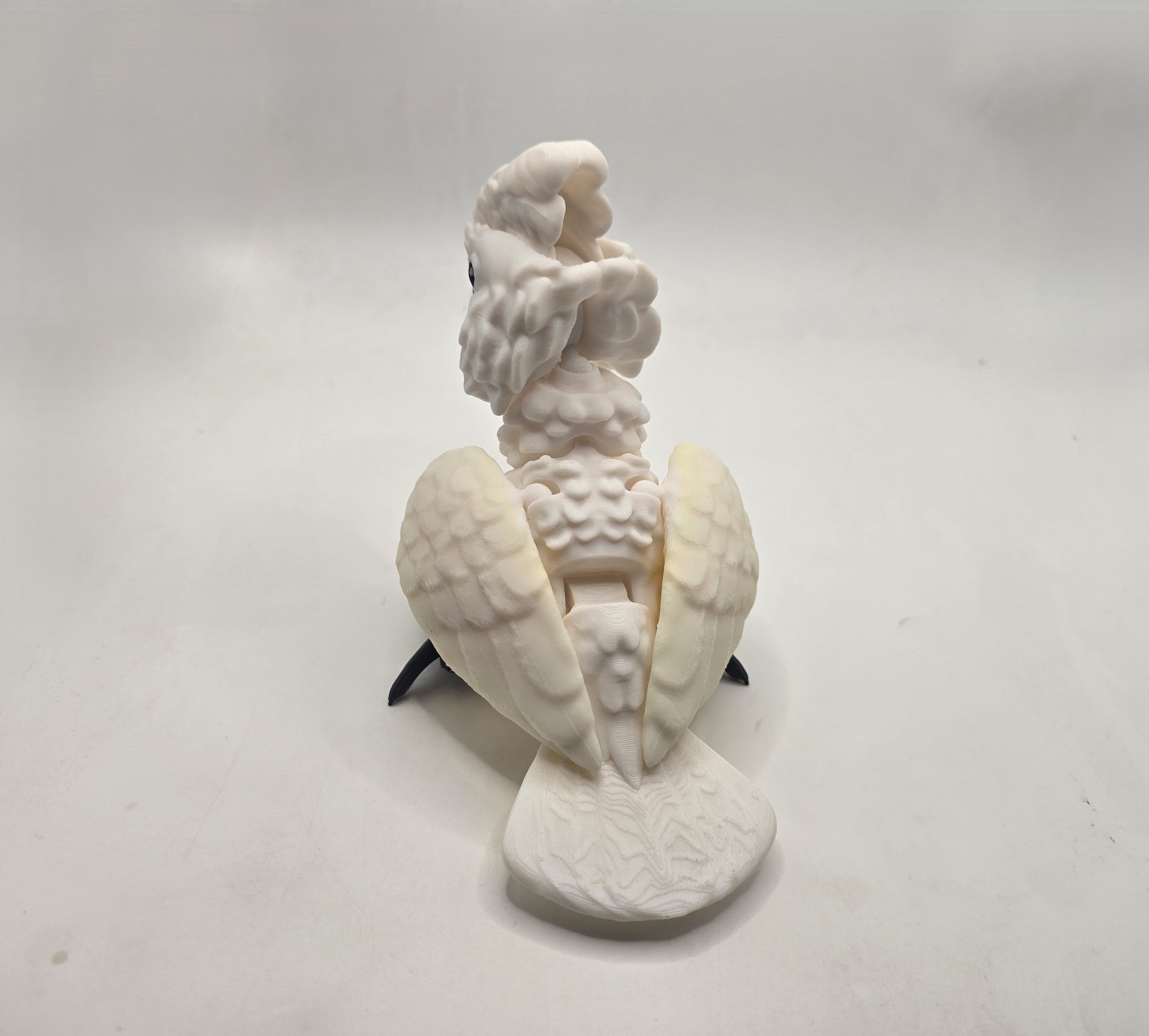 Cockatoo - No Hands 3d
