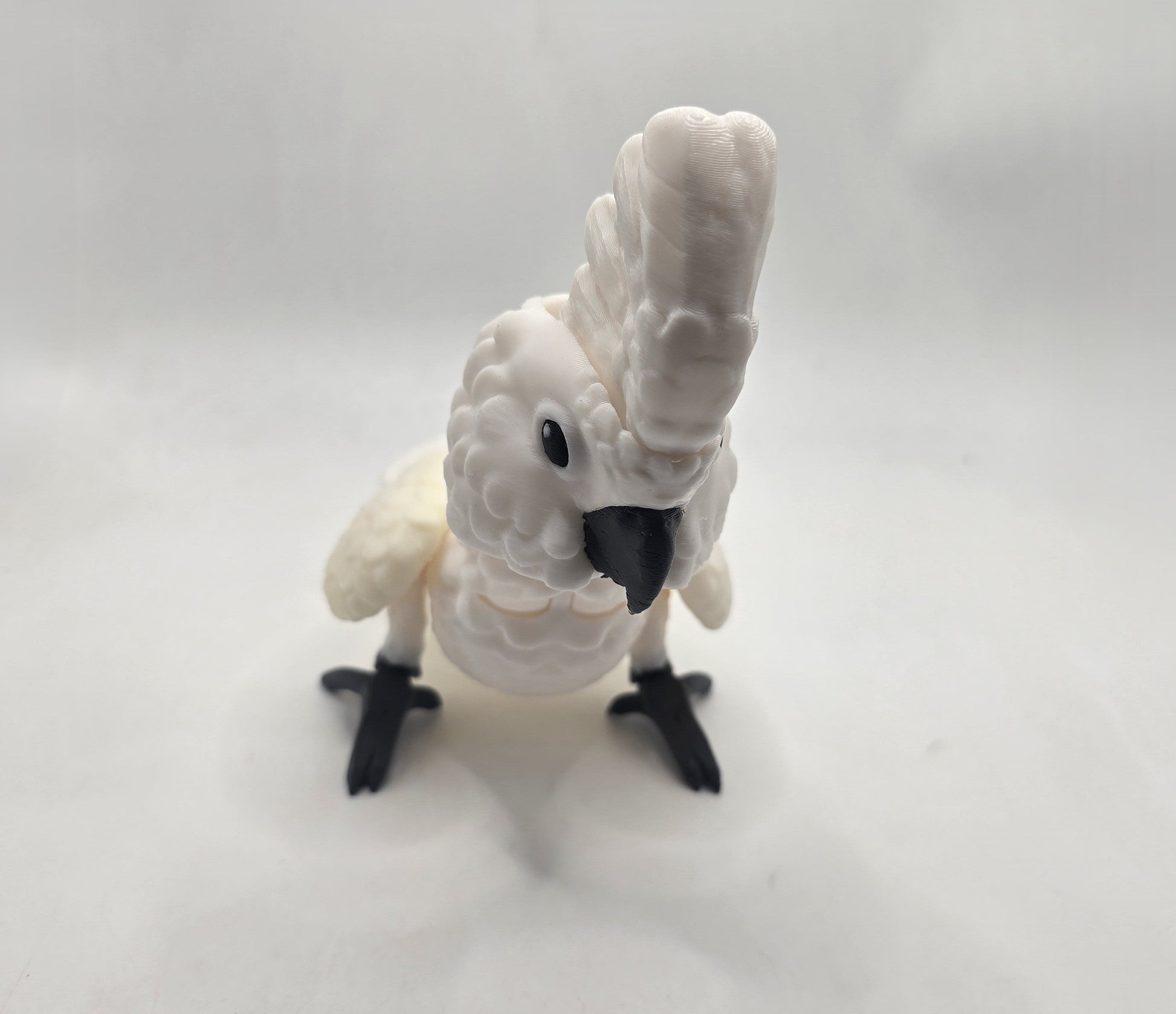 Cockatoo - No Hands 3d