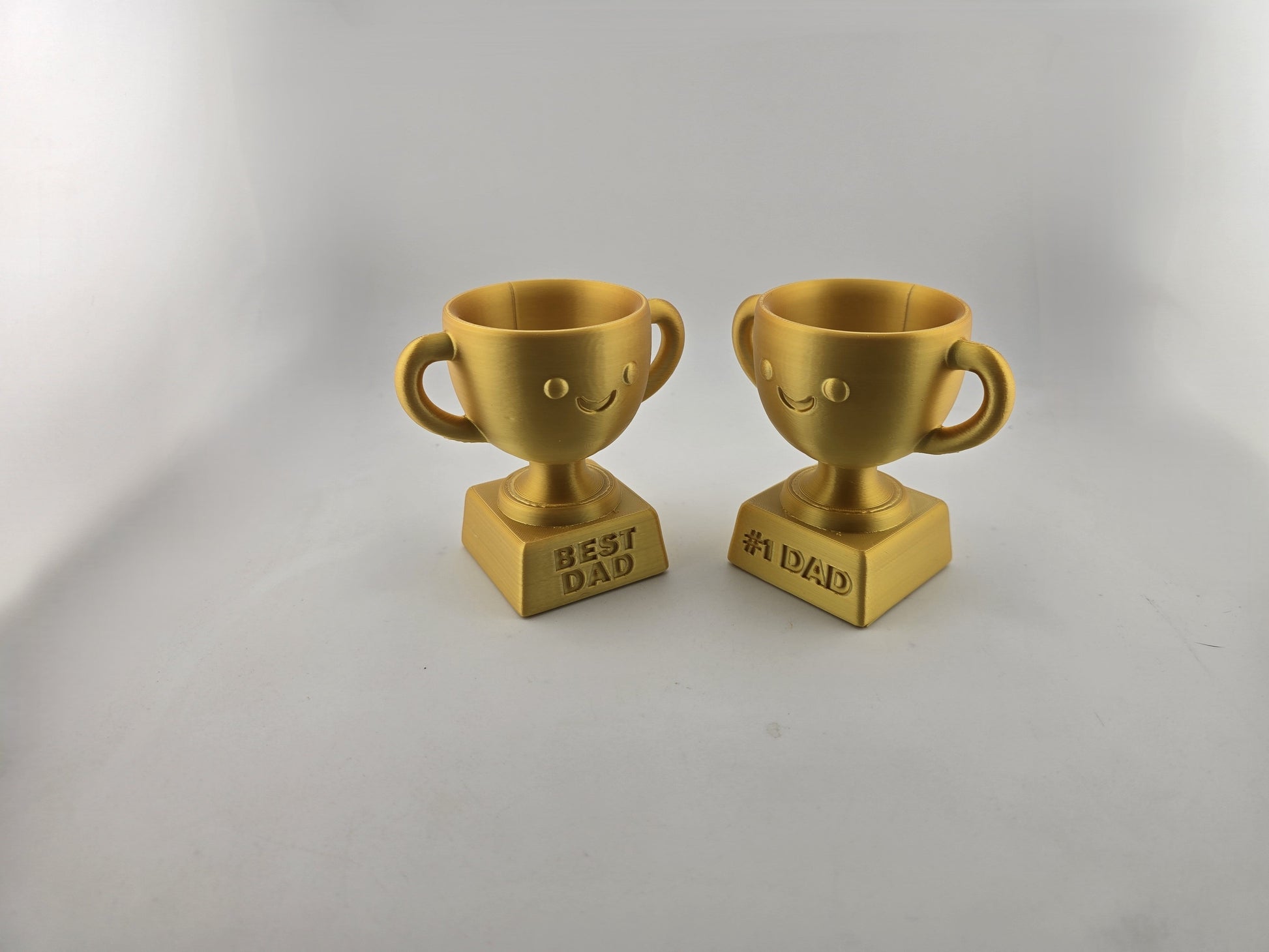 Fathers Day Trophys - No Hands 3d