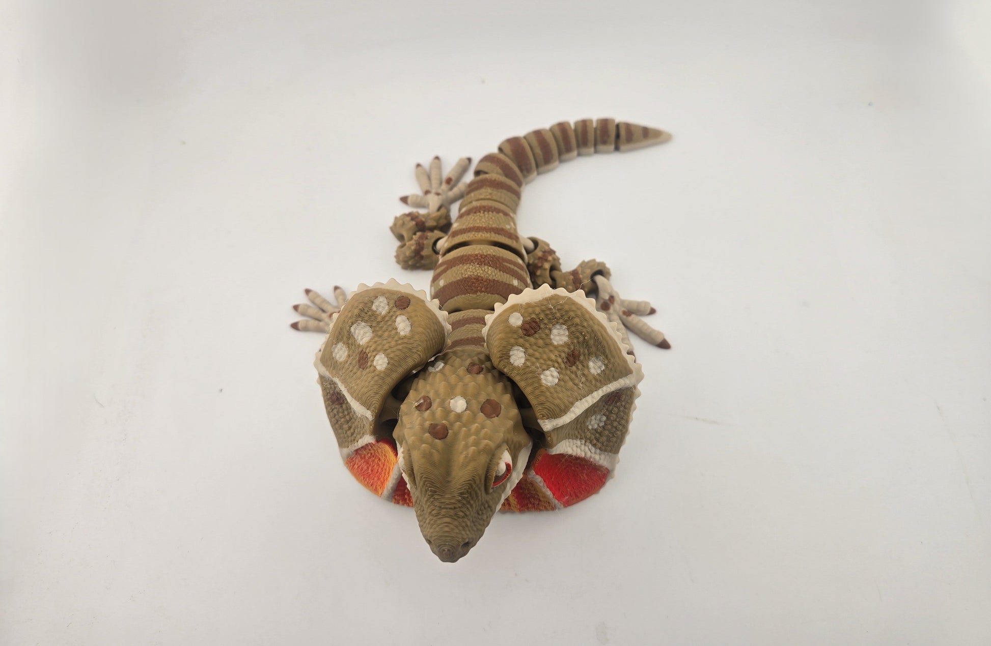 Frilled Neck Lizard - No Hands 3d