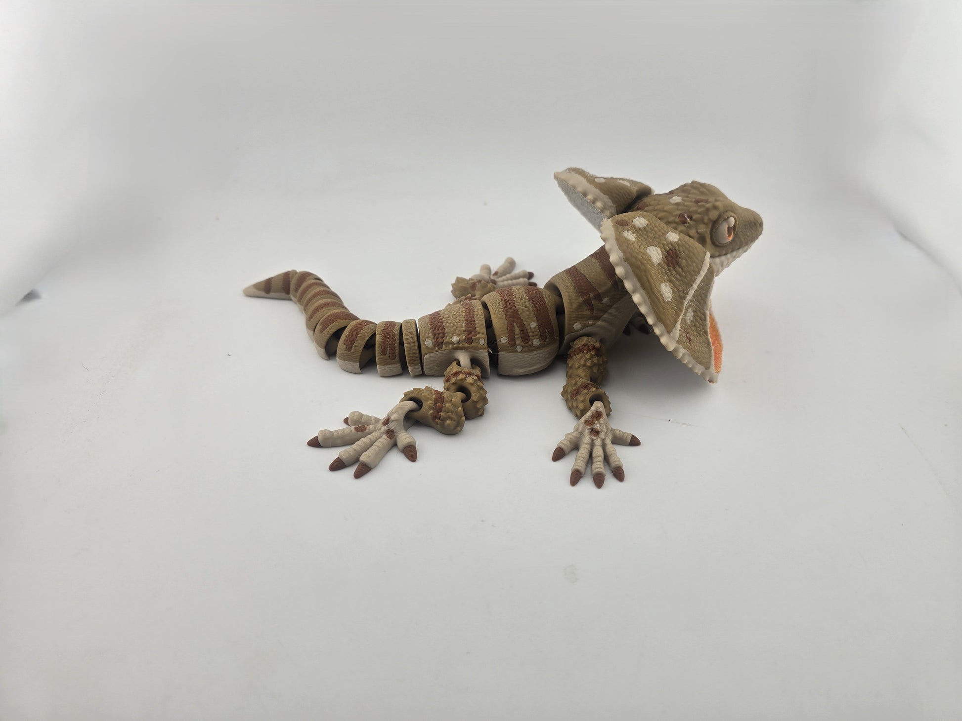 Frilled Neck Lizard - No Hands 3d