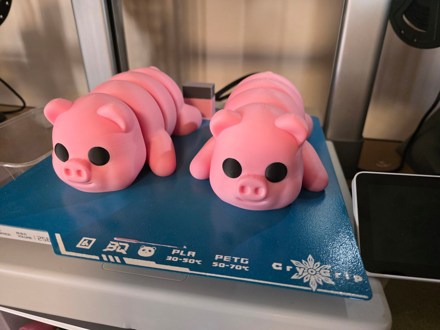 Giant Pigs - No Hands 3d