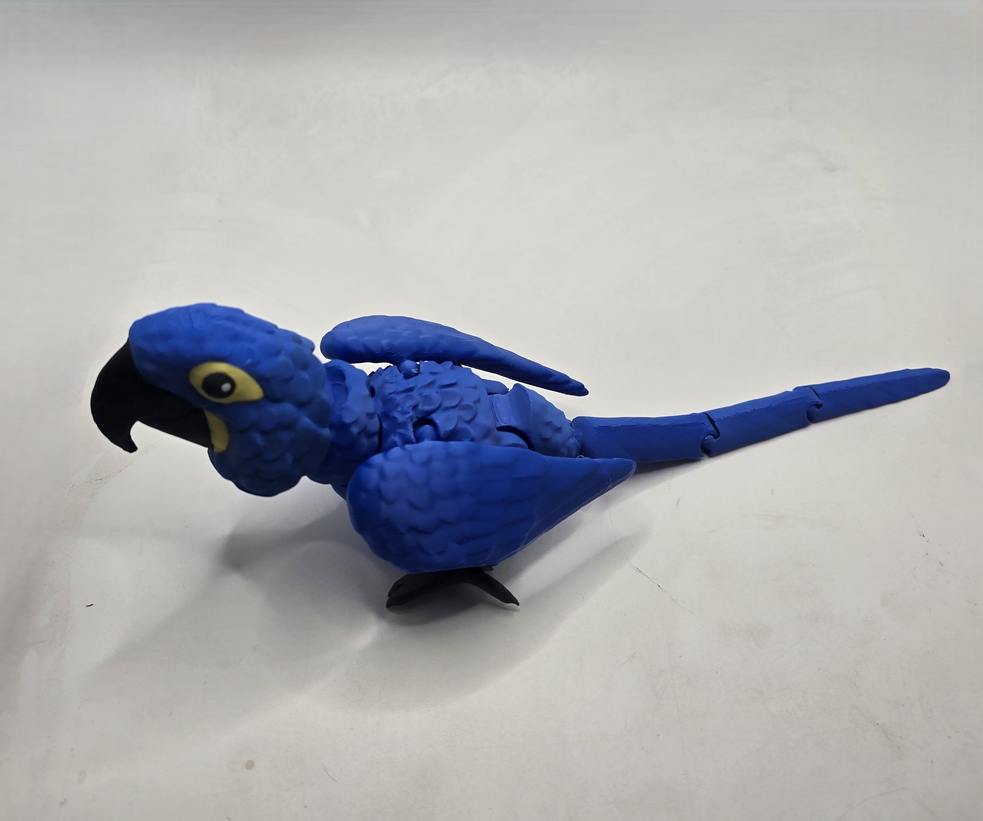 Hyacinth Macaw - No Hands 3d