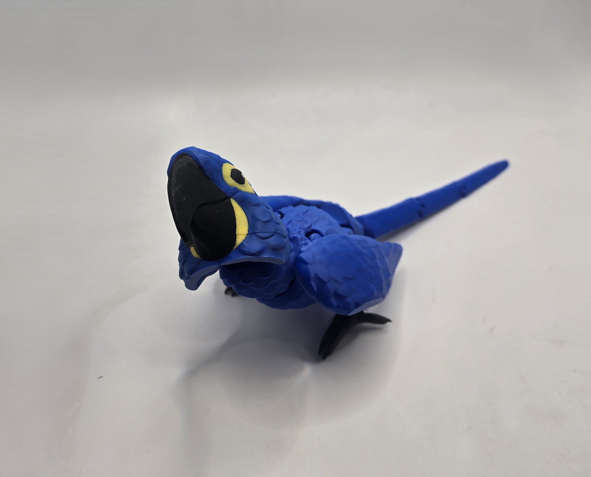 Hyacinth Macaw - No Hands 3d