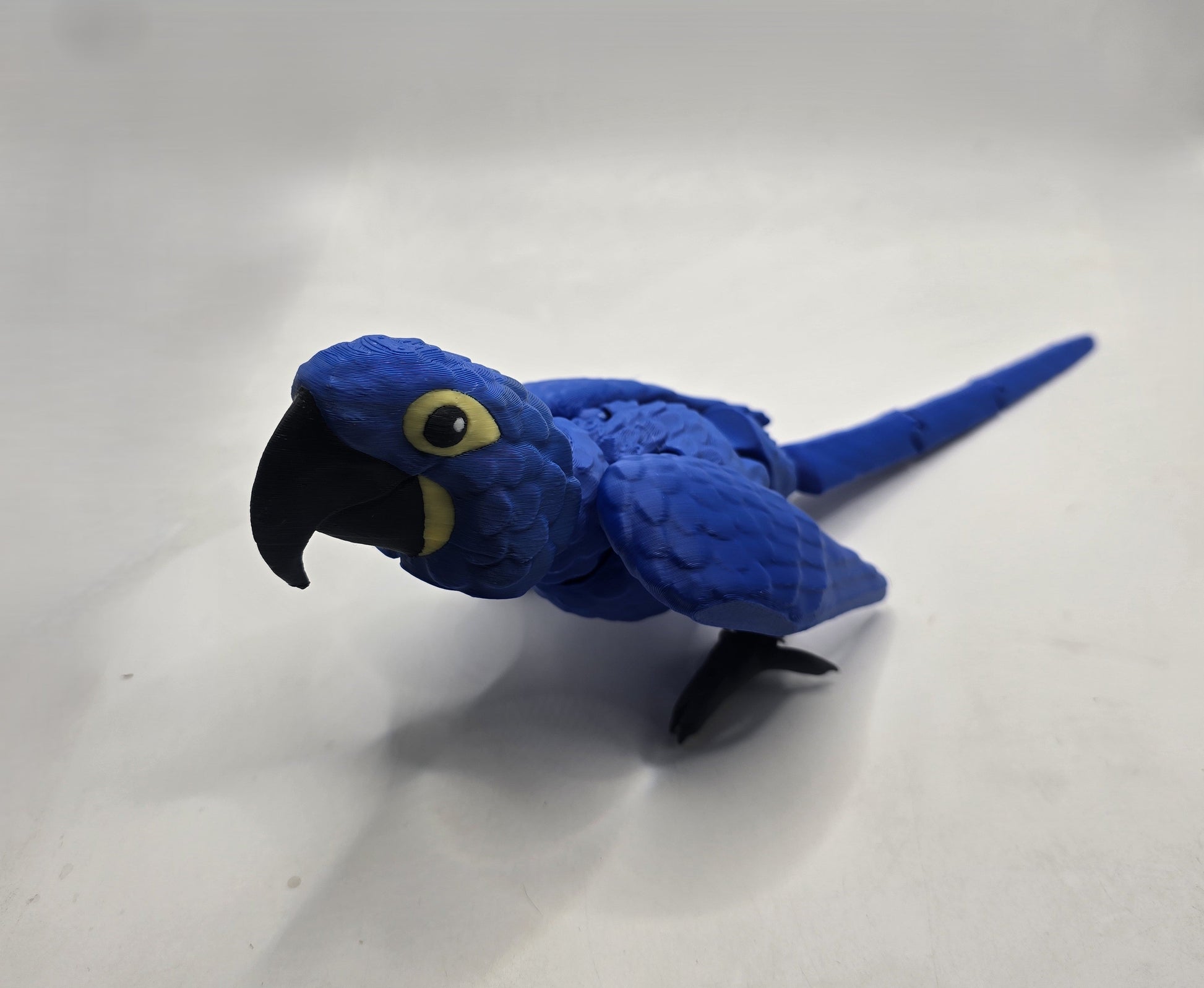 Hyacinth Macaw - No Hands 3d