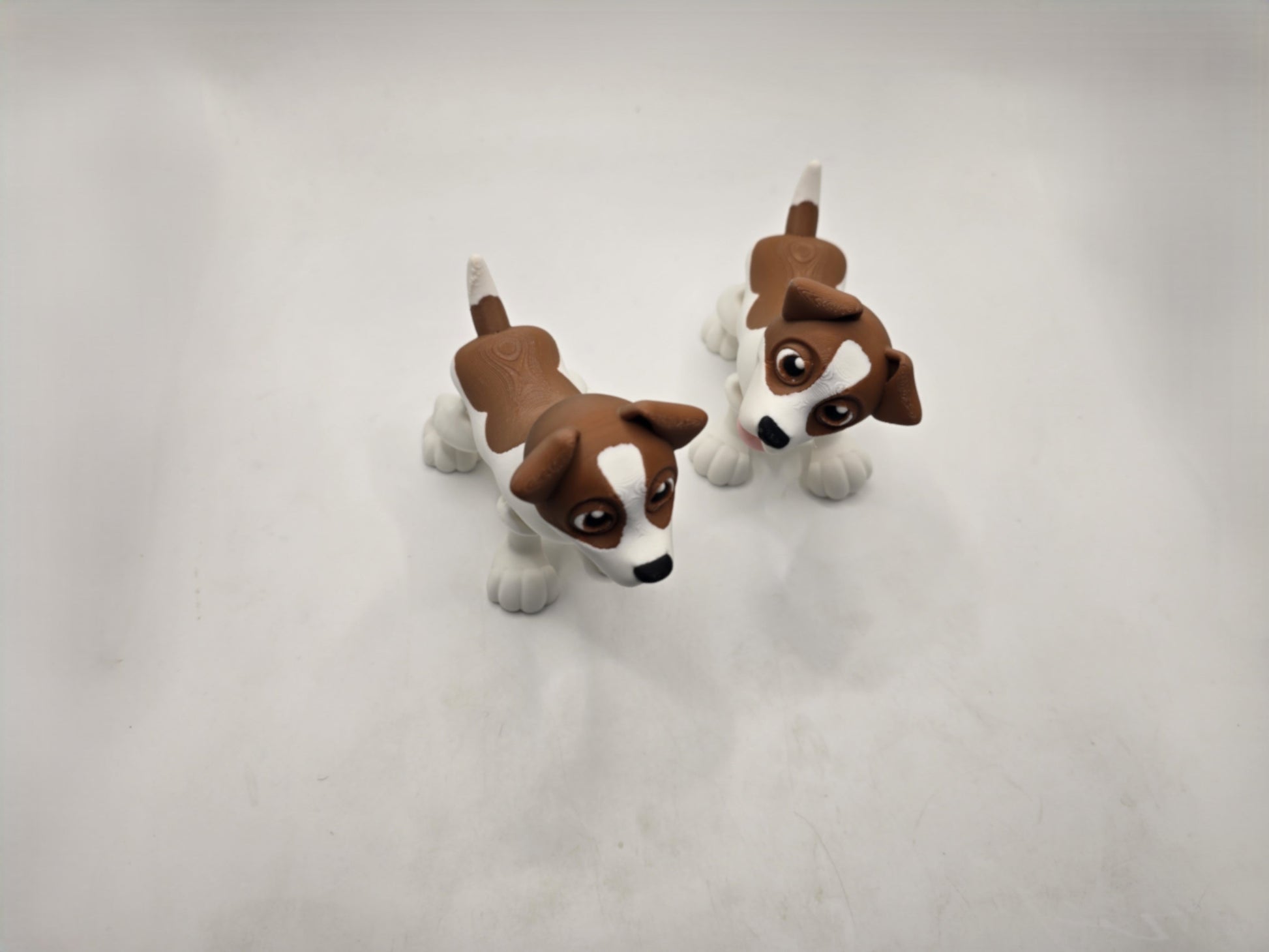 Jack Russel / Fox Terrier - No Hands 3d