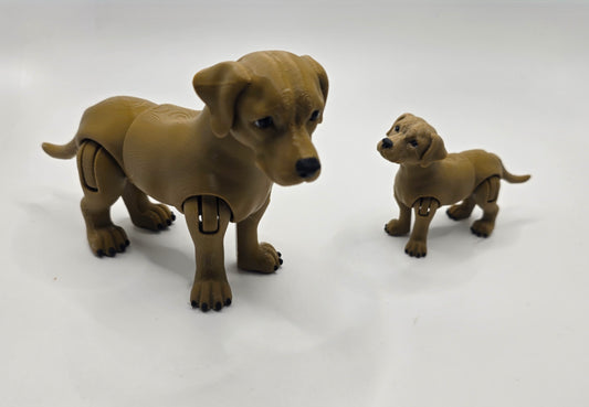 Labrador - No Hands 3d