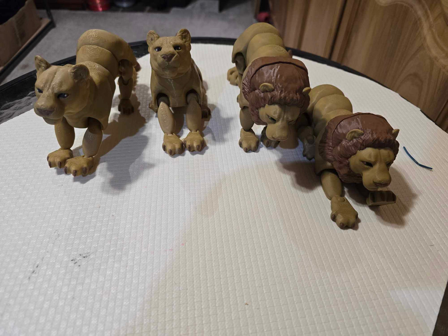 Lions and Lioness - No Hands 3d