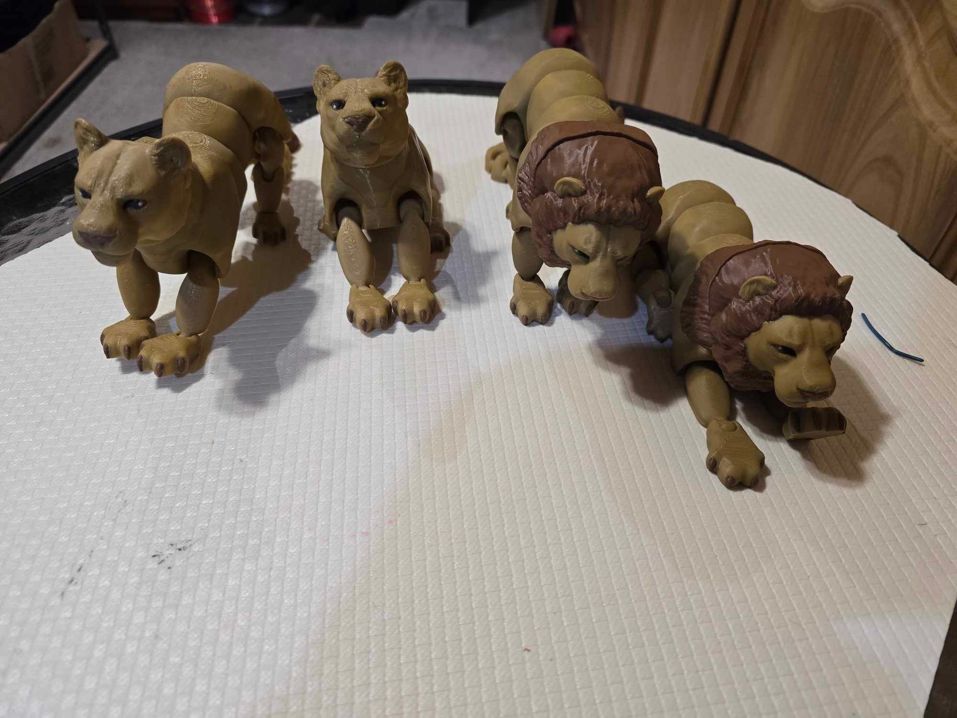 Lions and Lioness - No Hands 3d
