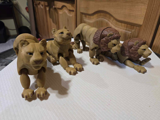 Lions and Lioness - No Hands 3d