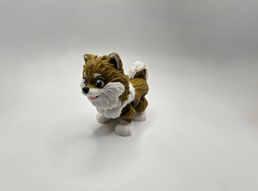 Pomeranian - No Hands 3d