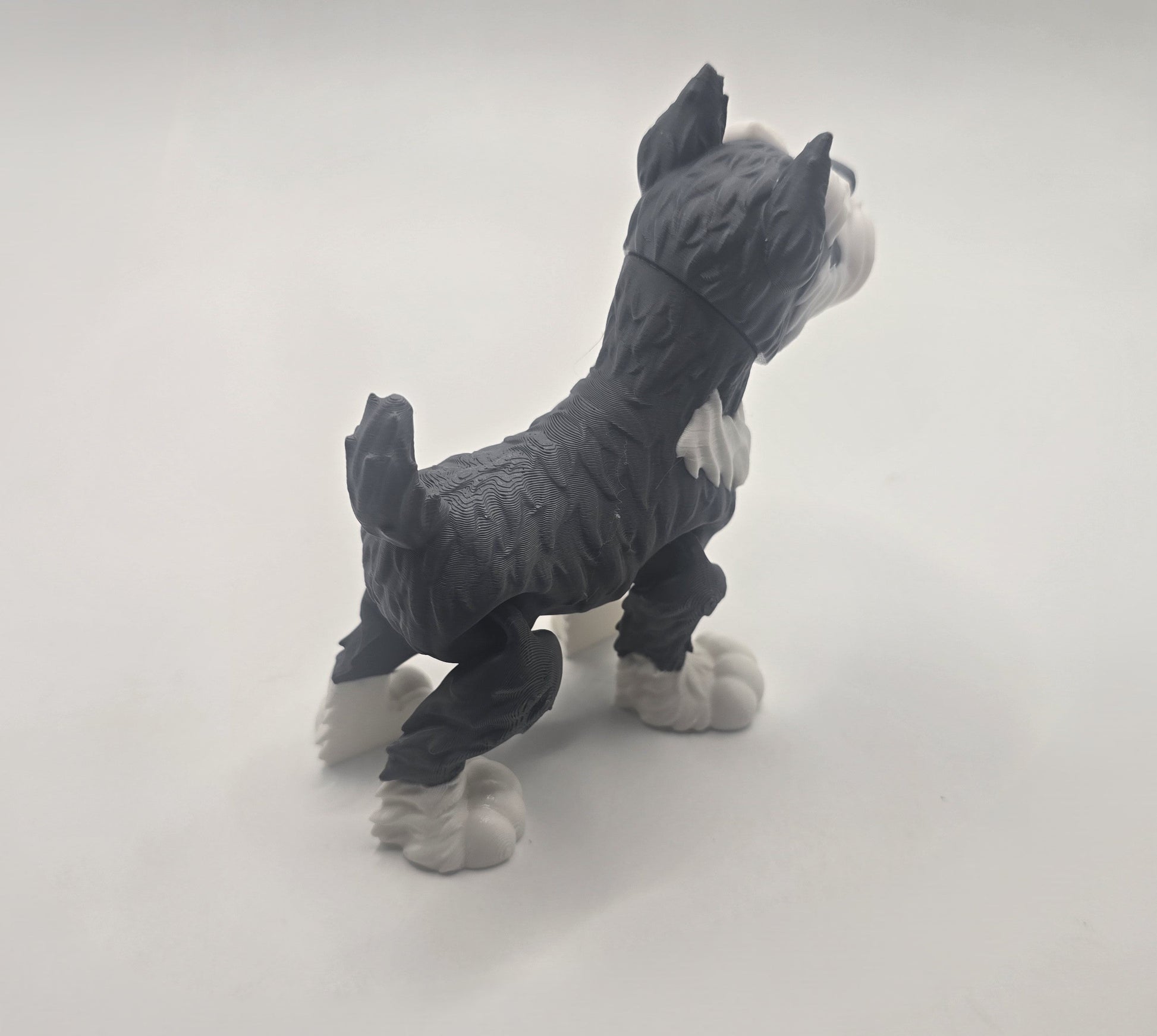 Schnauzer - No Hands 3d