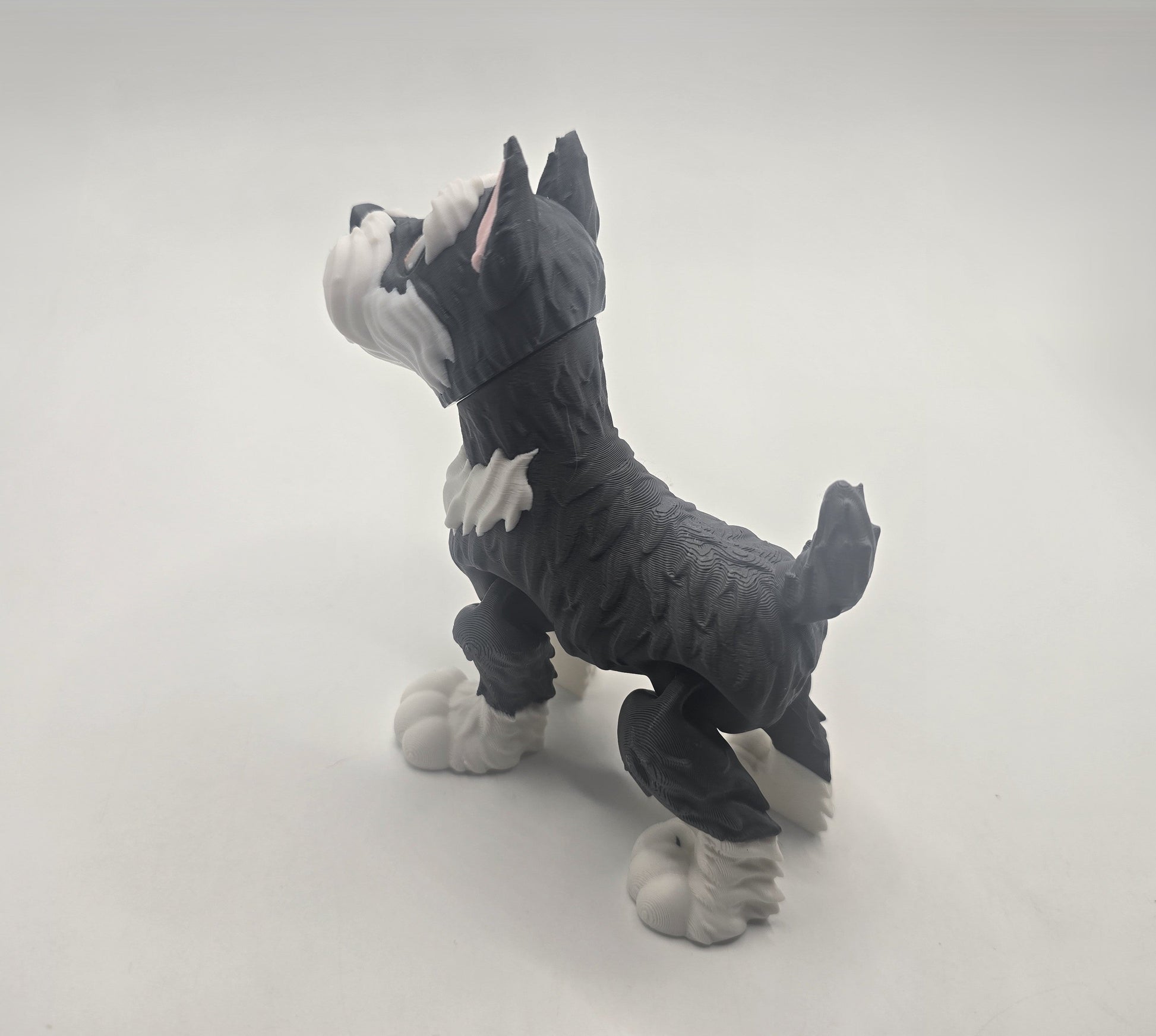 Schnauzer - No Hands 3d