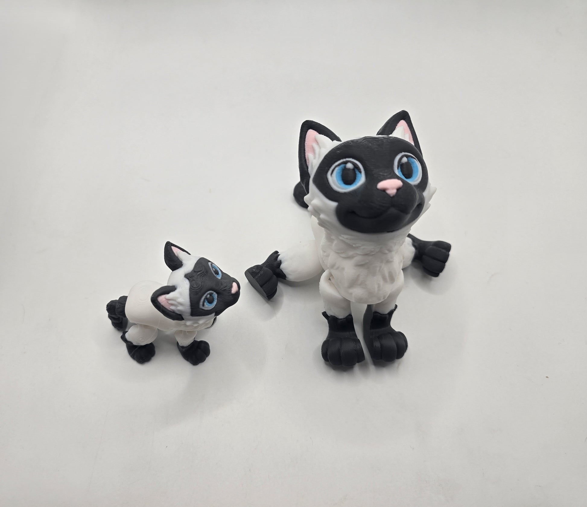 Siamese Cat - No Hands 3d