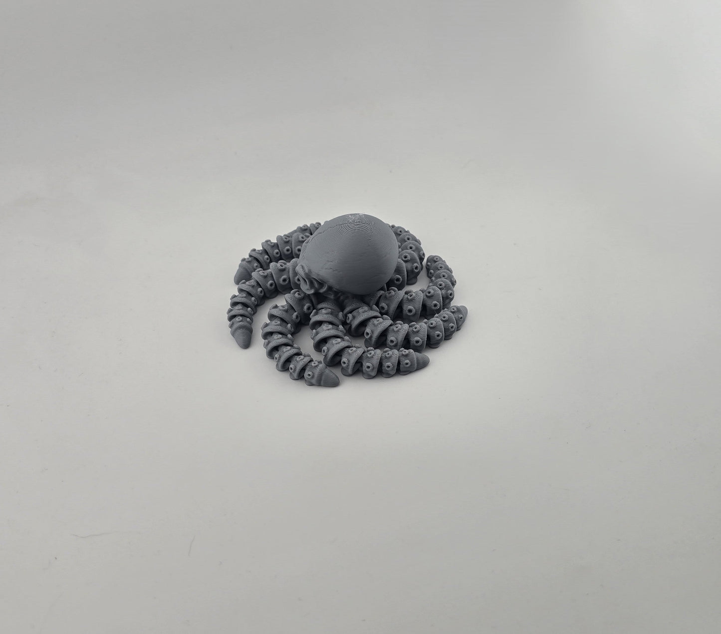 Skeleton Octopus - No Hands 3d