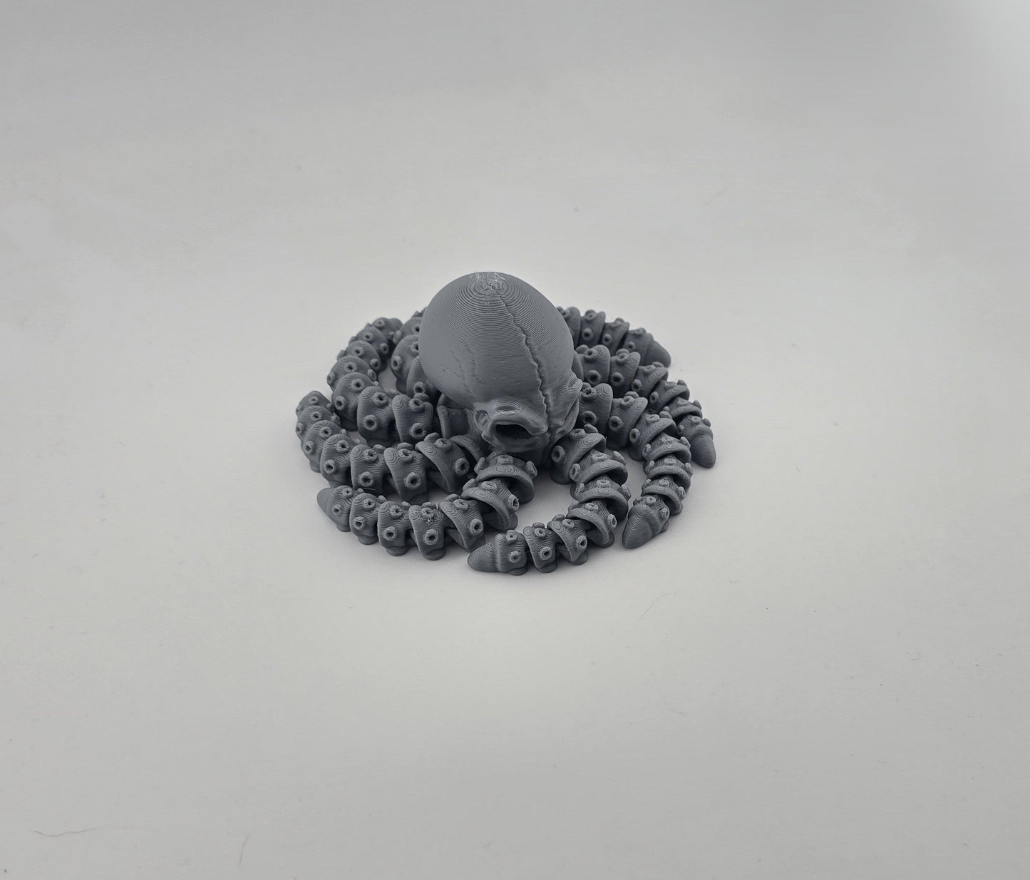 Skeleton Octopus - No Hands 3d
