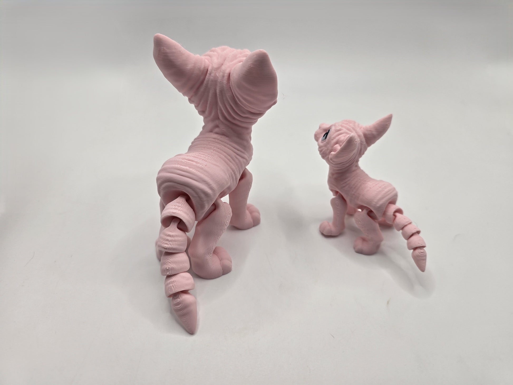 Sphynx Cat (Tofu) - No Hands 3d