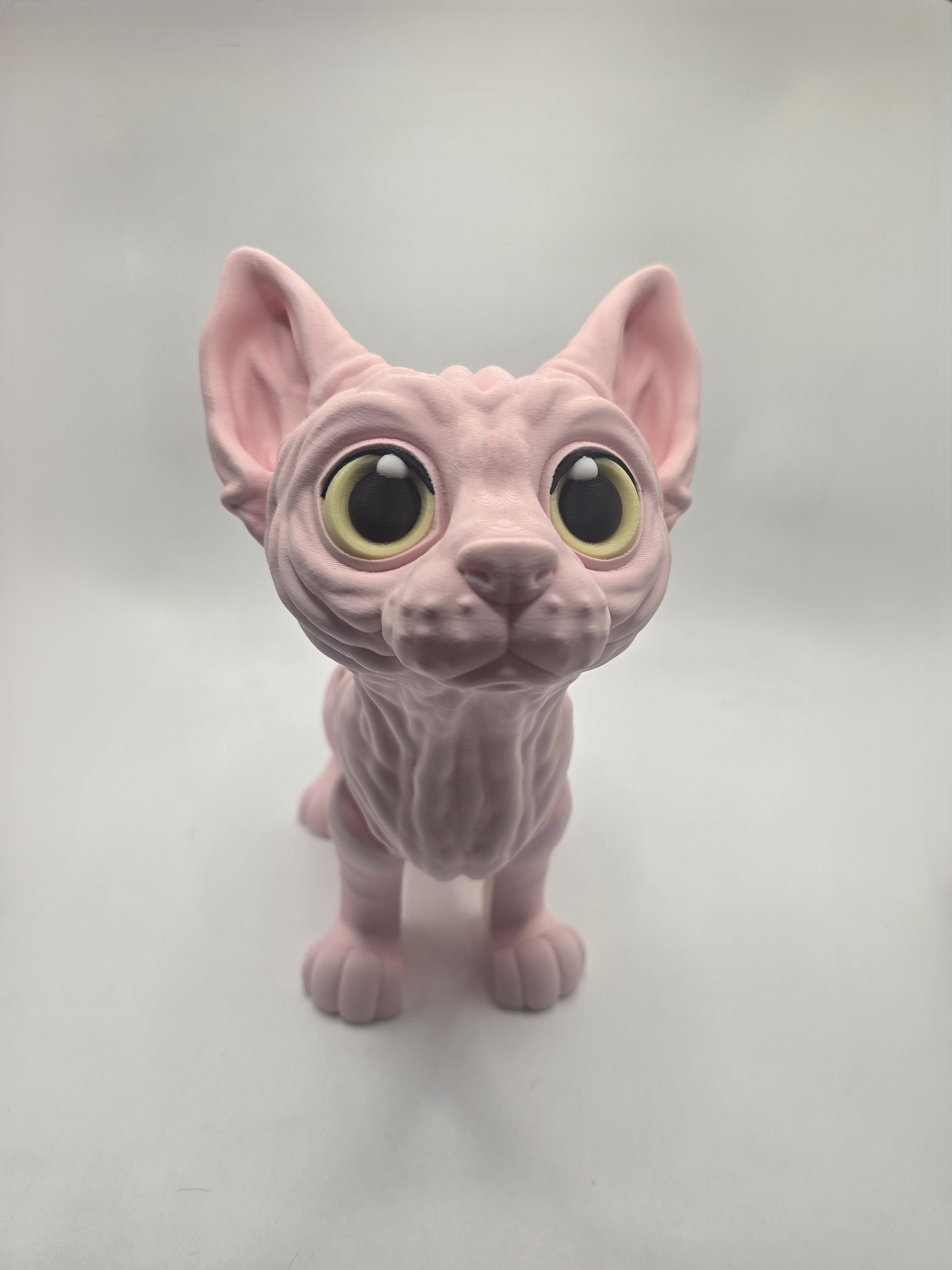 Sphynx Cat (Tofu) - No Hands 3d