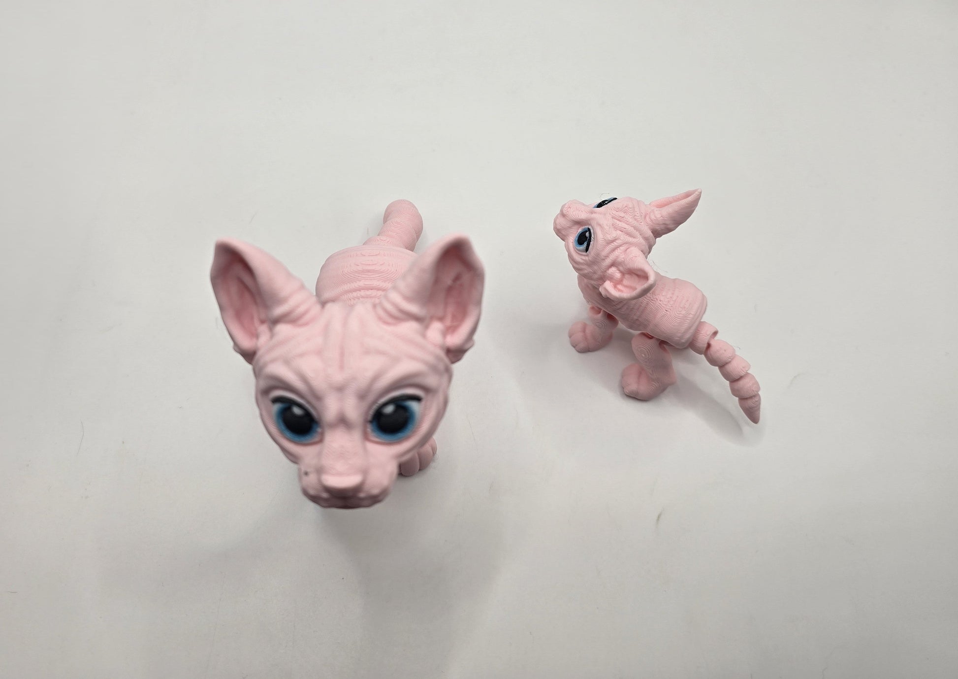 Sphynx Cat (Tofu) - No Hands 3d
