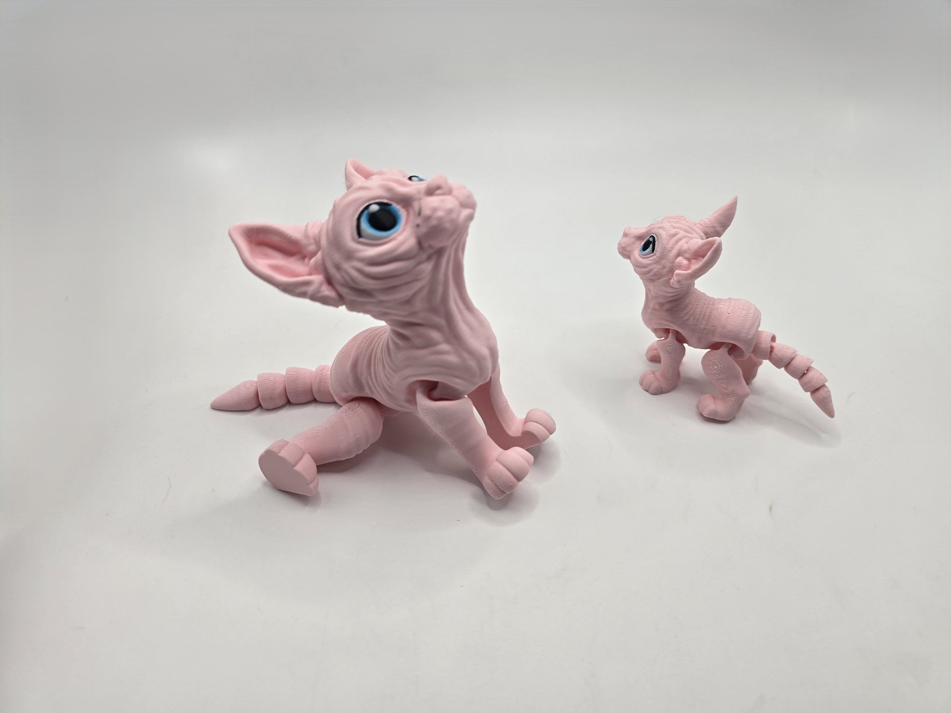 Sphynx Cat (Tofu) - No Hands 3d