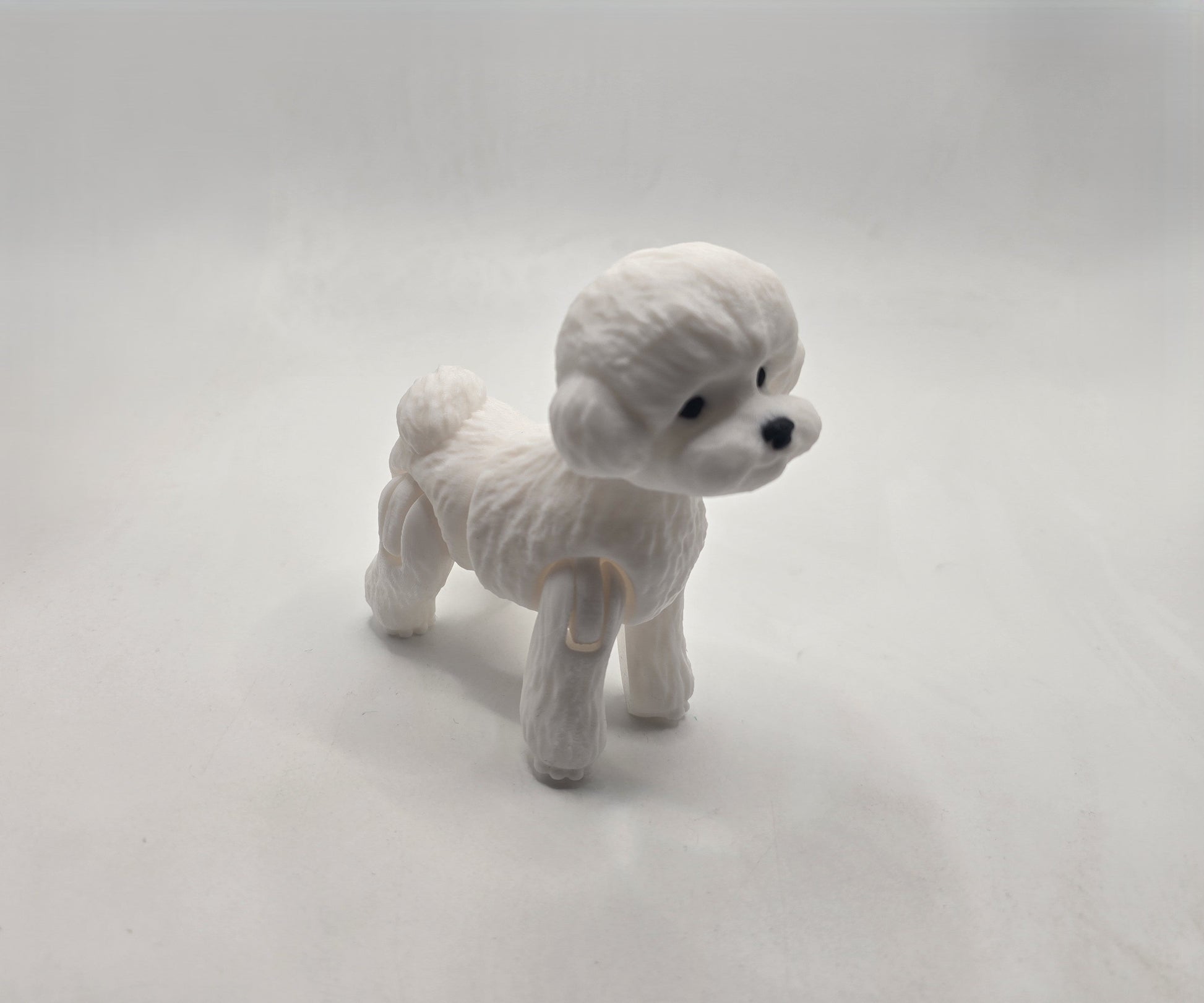 Toy Poodle - No Hands 3d