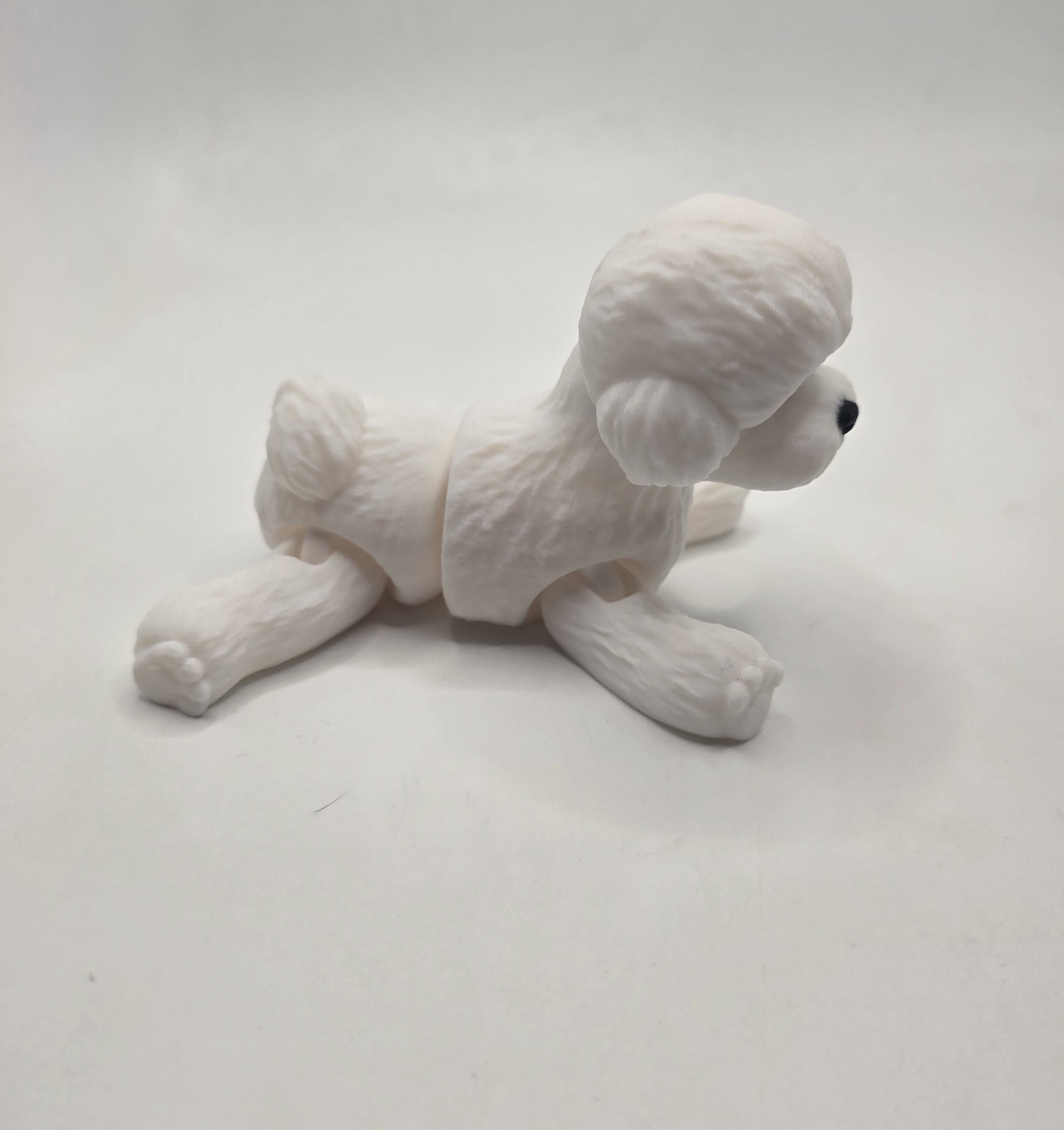Toy Poodle - No Hands 3d