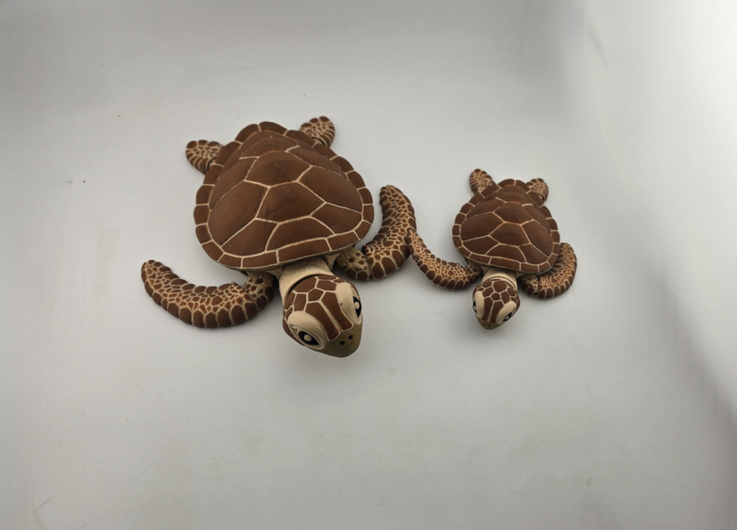 Turtle - No Hands 3d