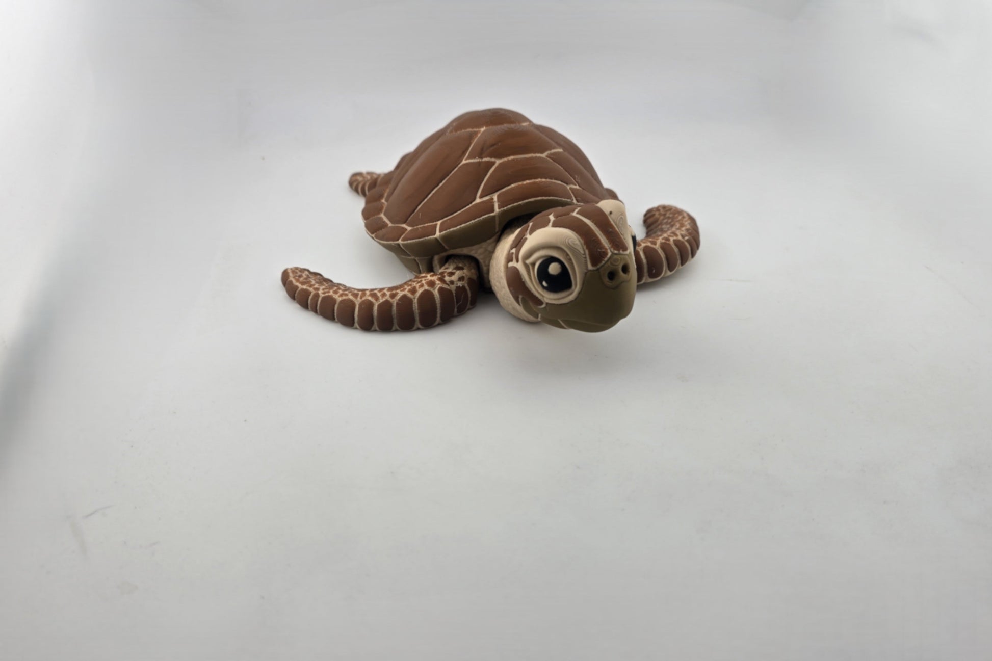 Turtle - No Hands 3d