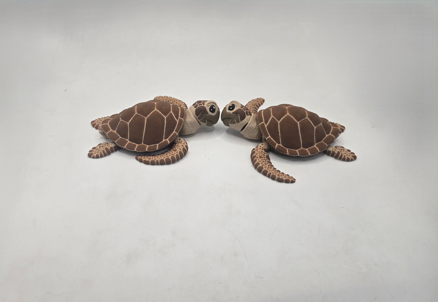 Turtle - No Hands 3d
