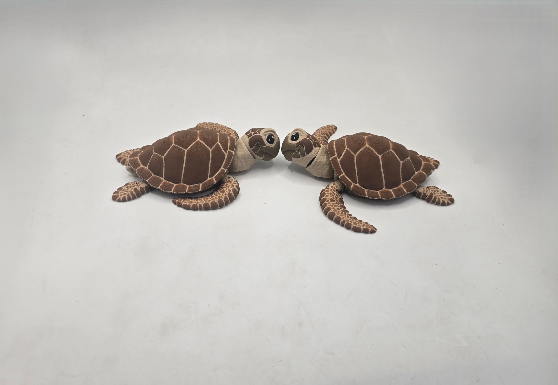 Turtle - No Hands 3d